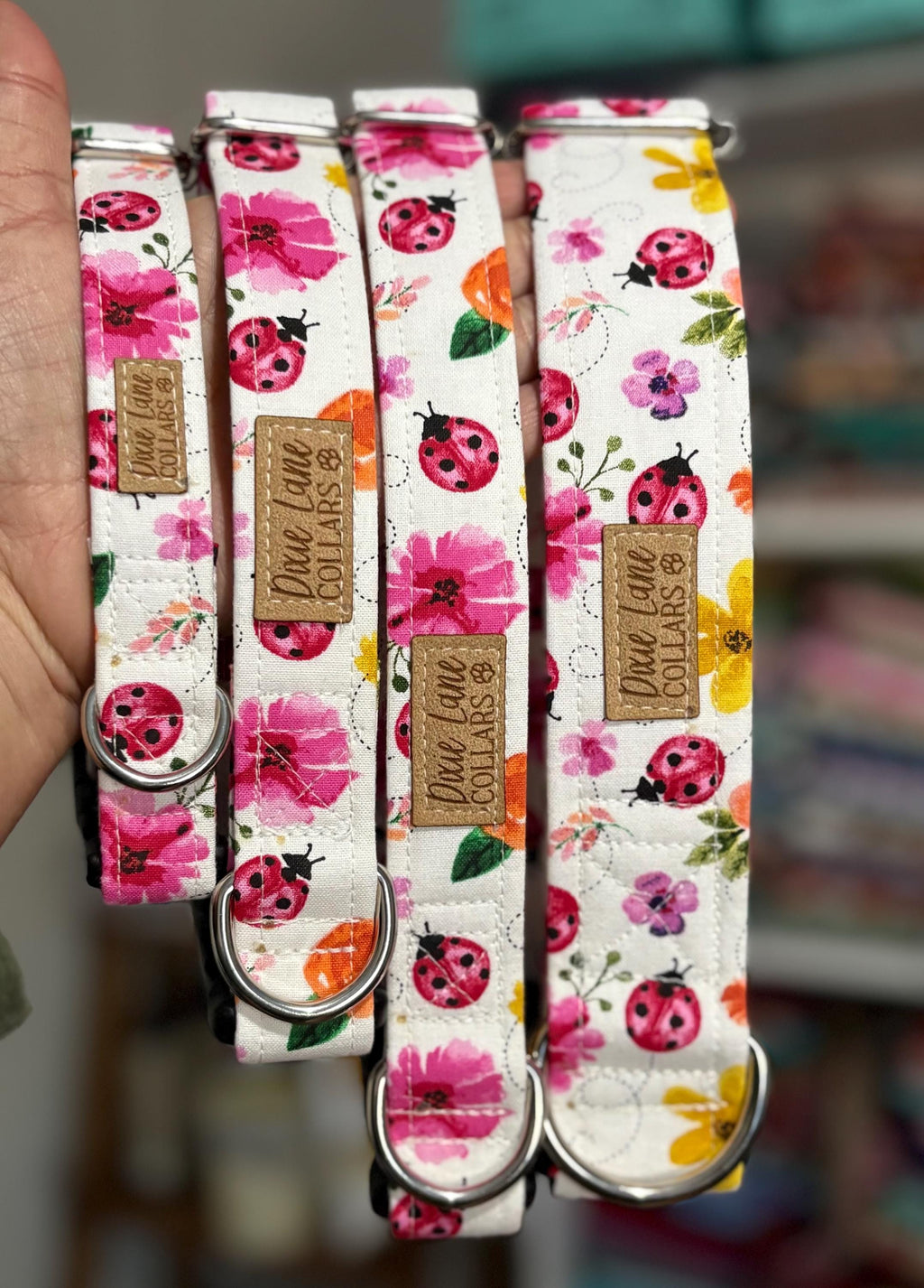 Lady Bug Floral Dog Collar