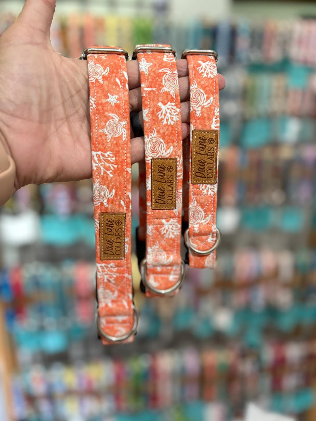Sea Turtles on Orange Dog Collar