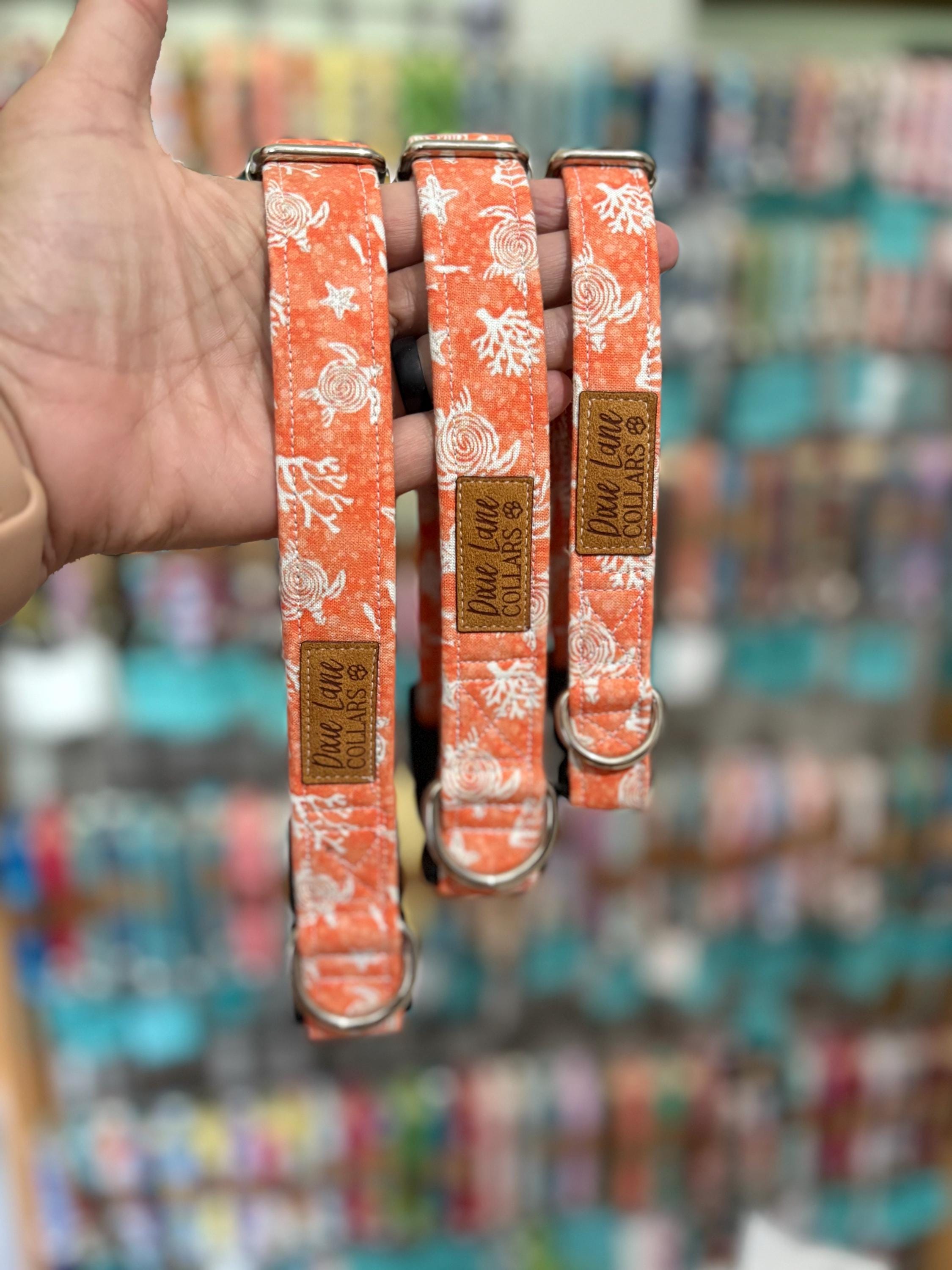 Sea Turtles on Orange Dog Collar