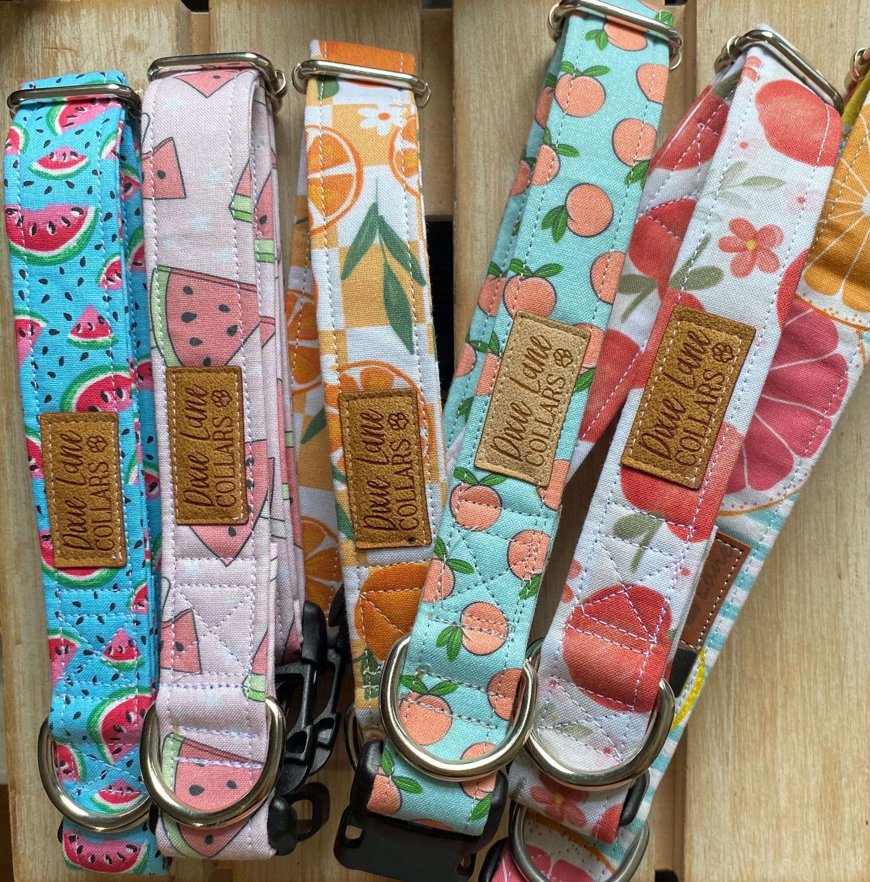 Pink Watermelon Popsicle Dog Collar