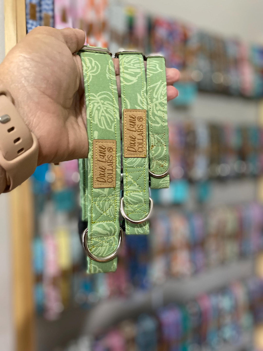 Sage Green Monstera Dog Collar