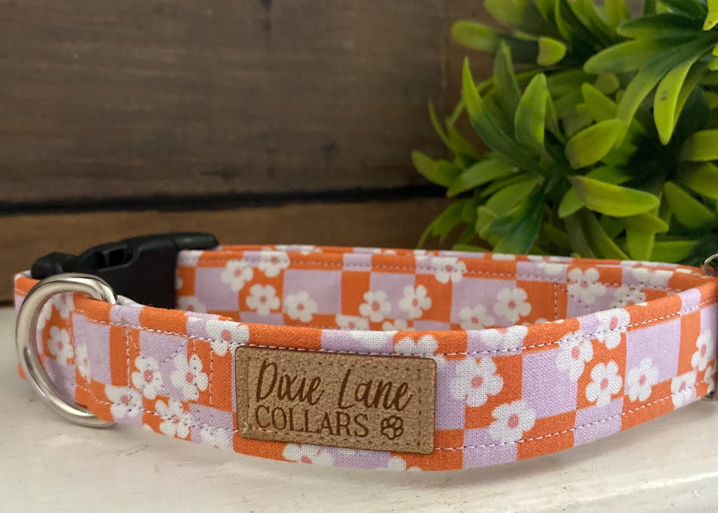 Checkered Daisies Dog Collar
