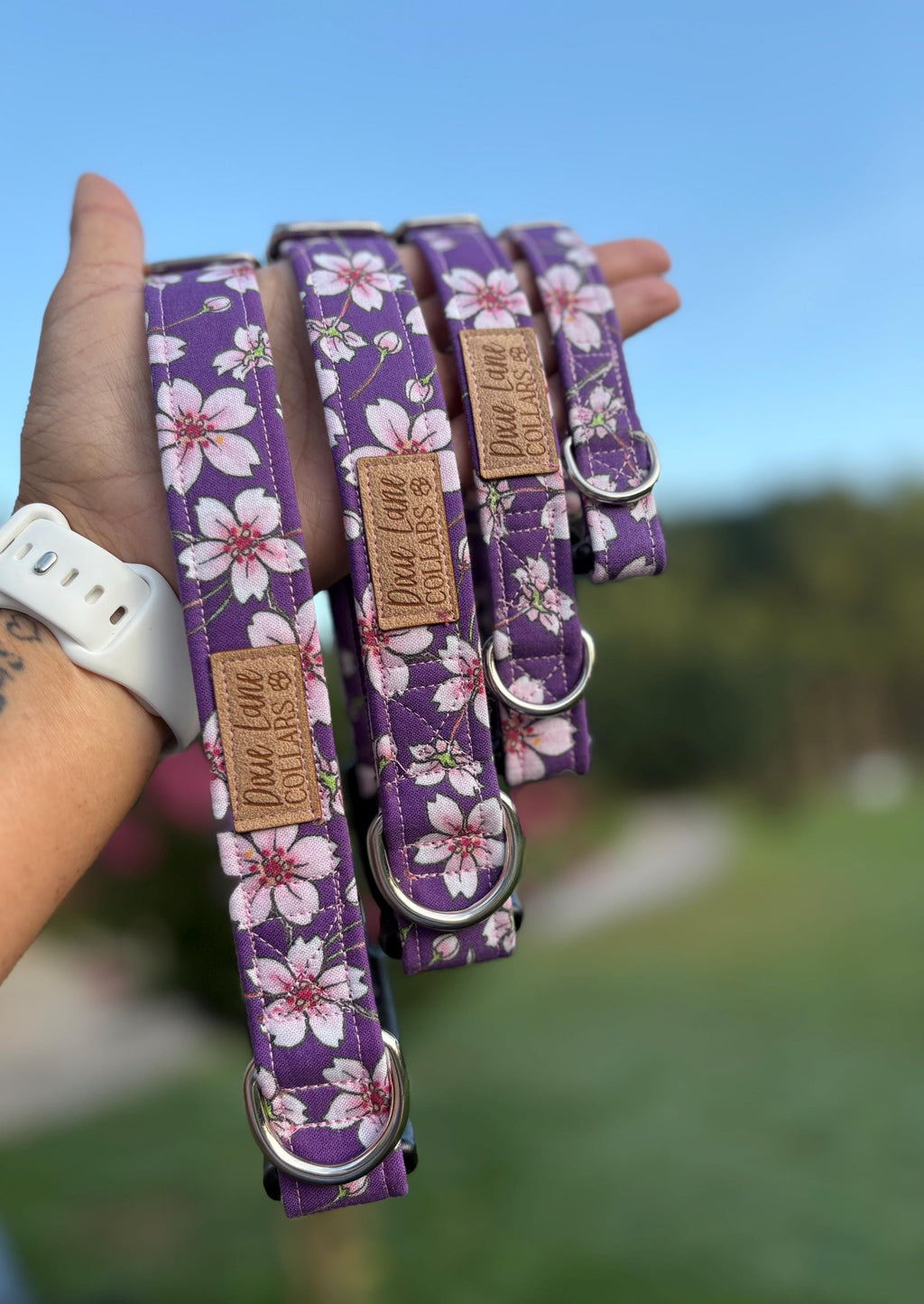 Purple Cherry Blossom Dog Collar