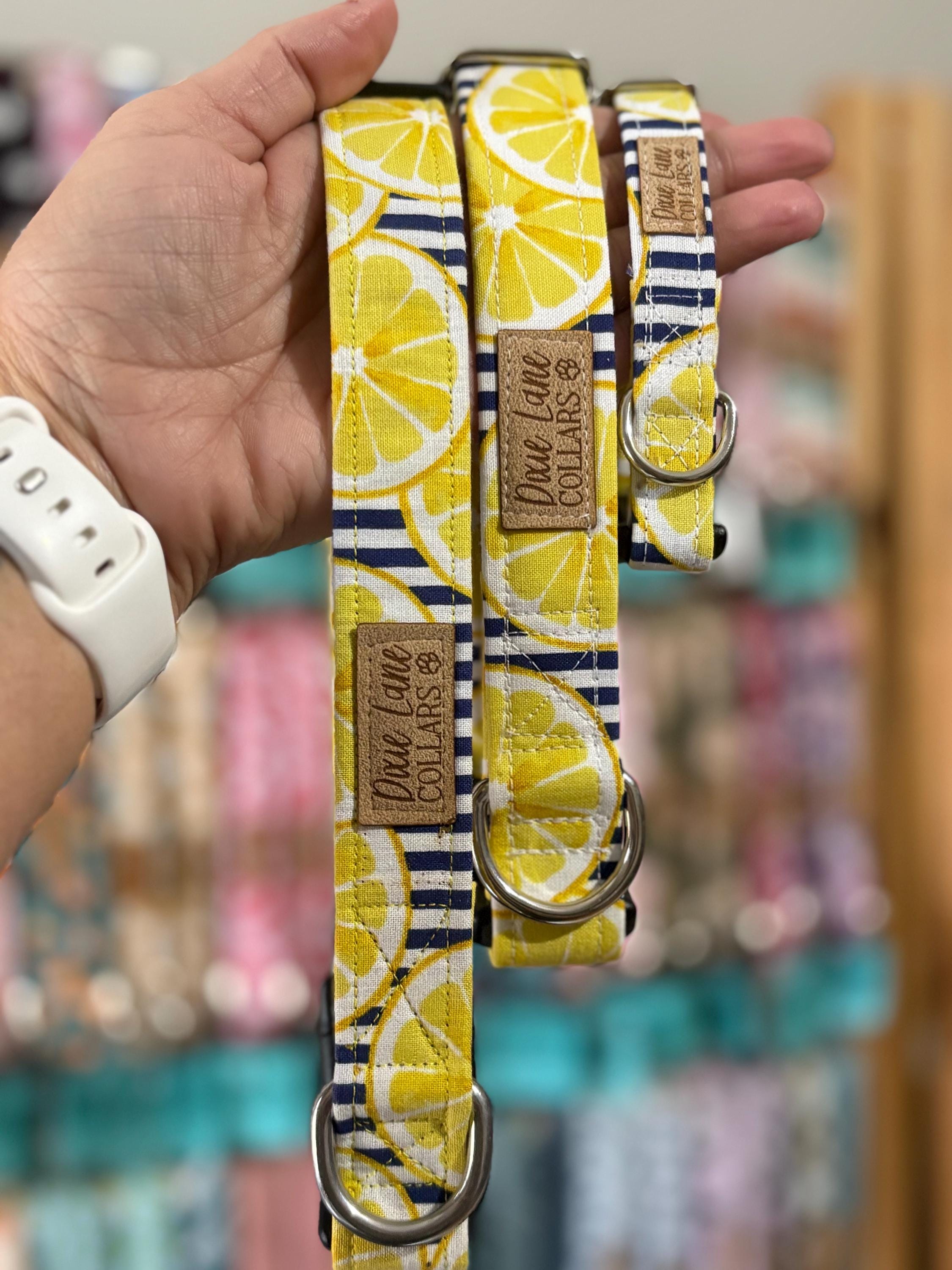 Yellow Lemon Striped Dog Collar