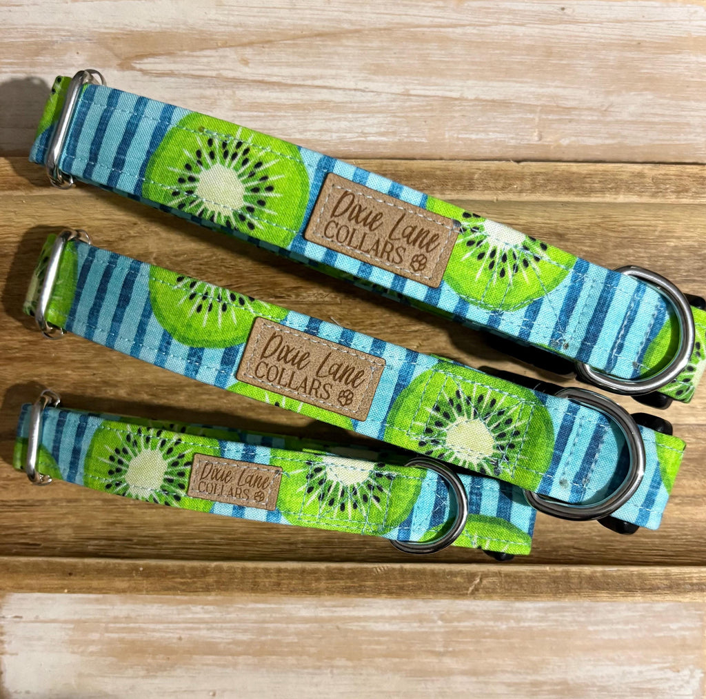 Kiwi Striped Dog Collar
