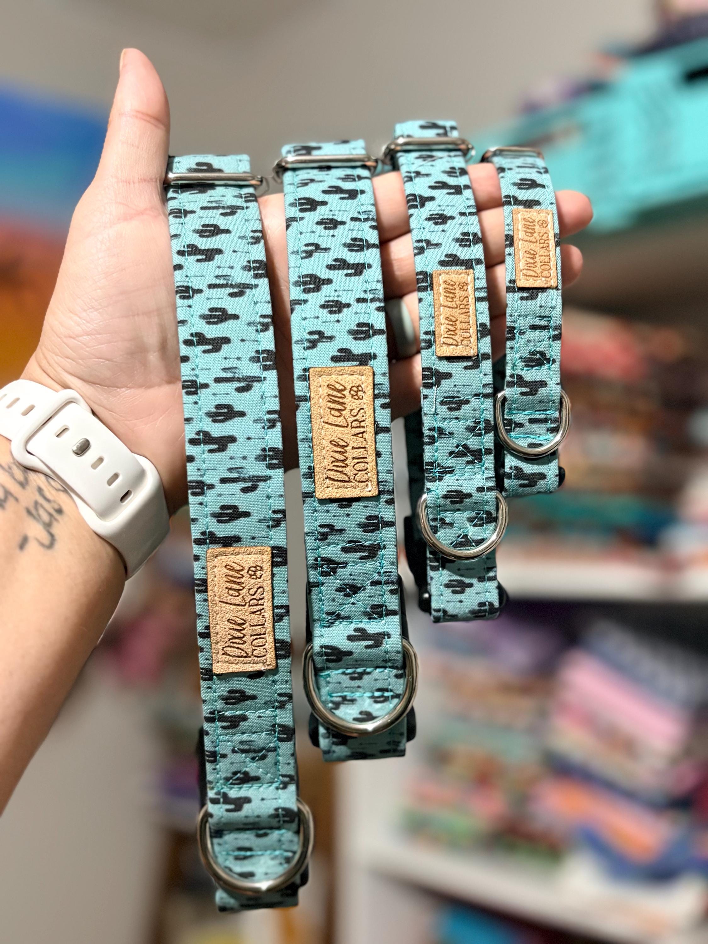 Teal Western Cactus Dog Collar