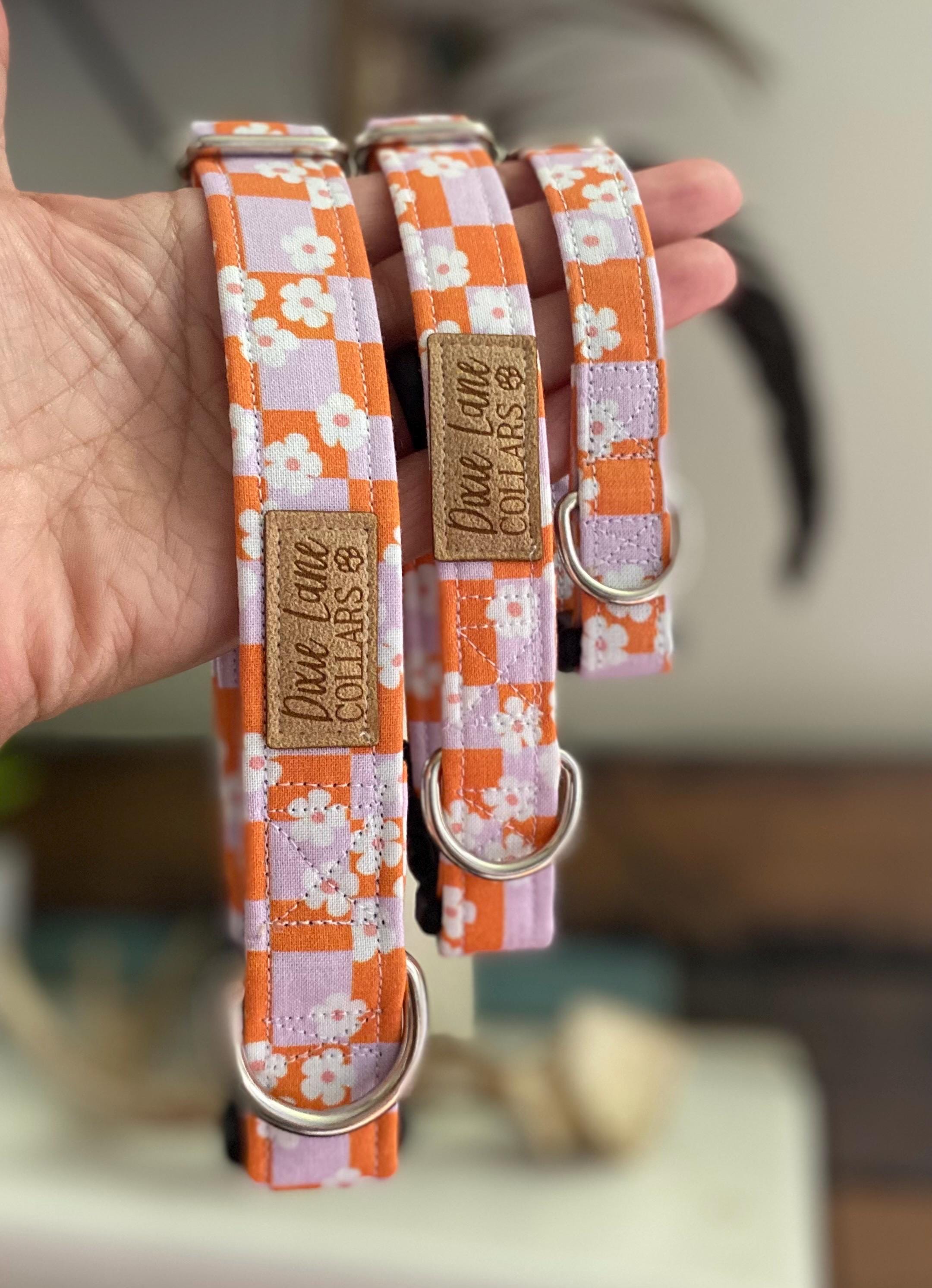 Checkered Daisies Dog Collar