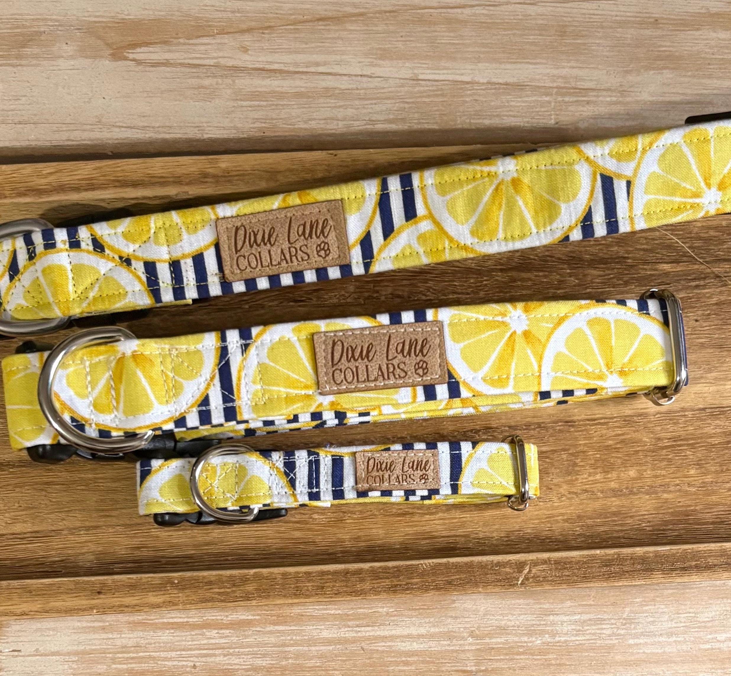 Yellow Lemon Striped Dog Collar