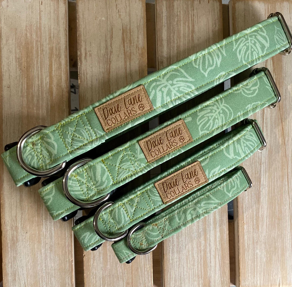 Sage Green Monstera Dog Collar