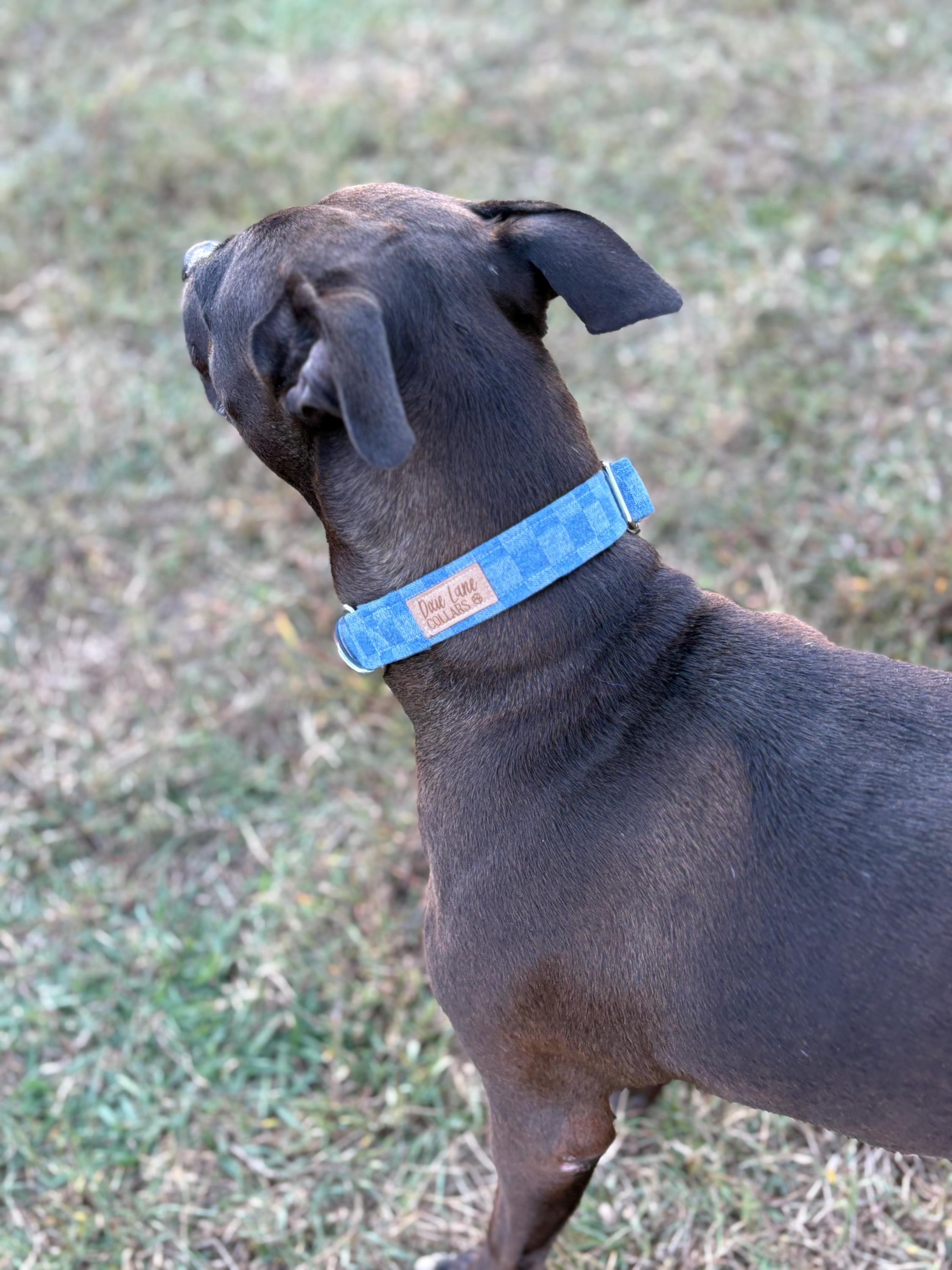 Blue Denim Checker Collar