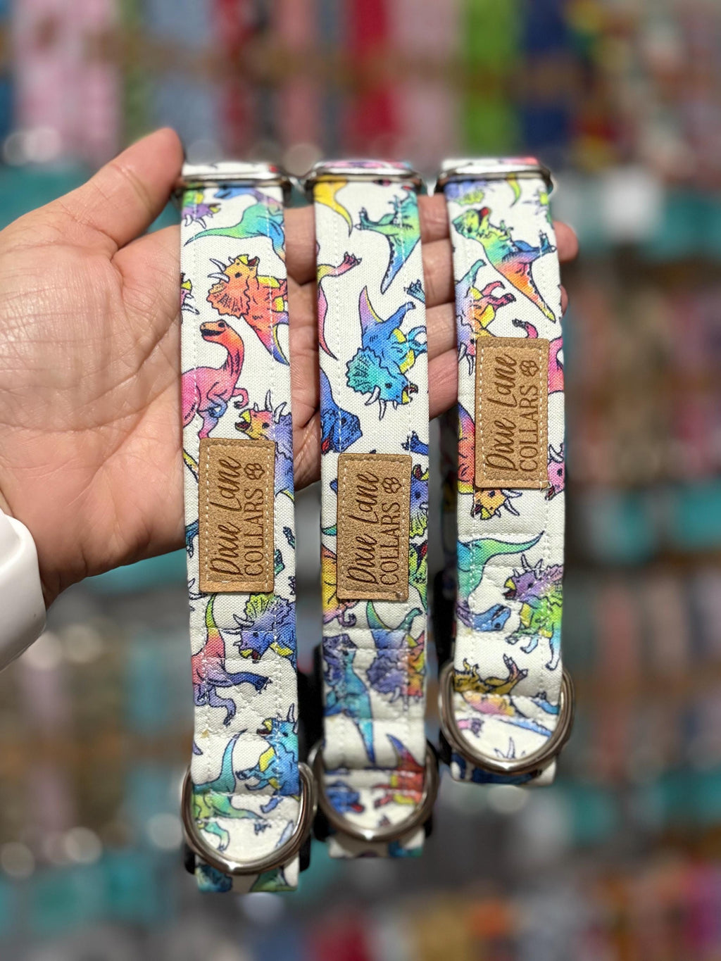 Rainbow Dinosaur Dog Collar