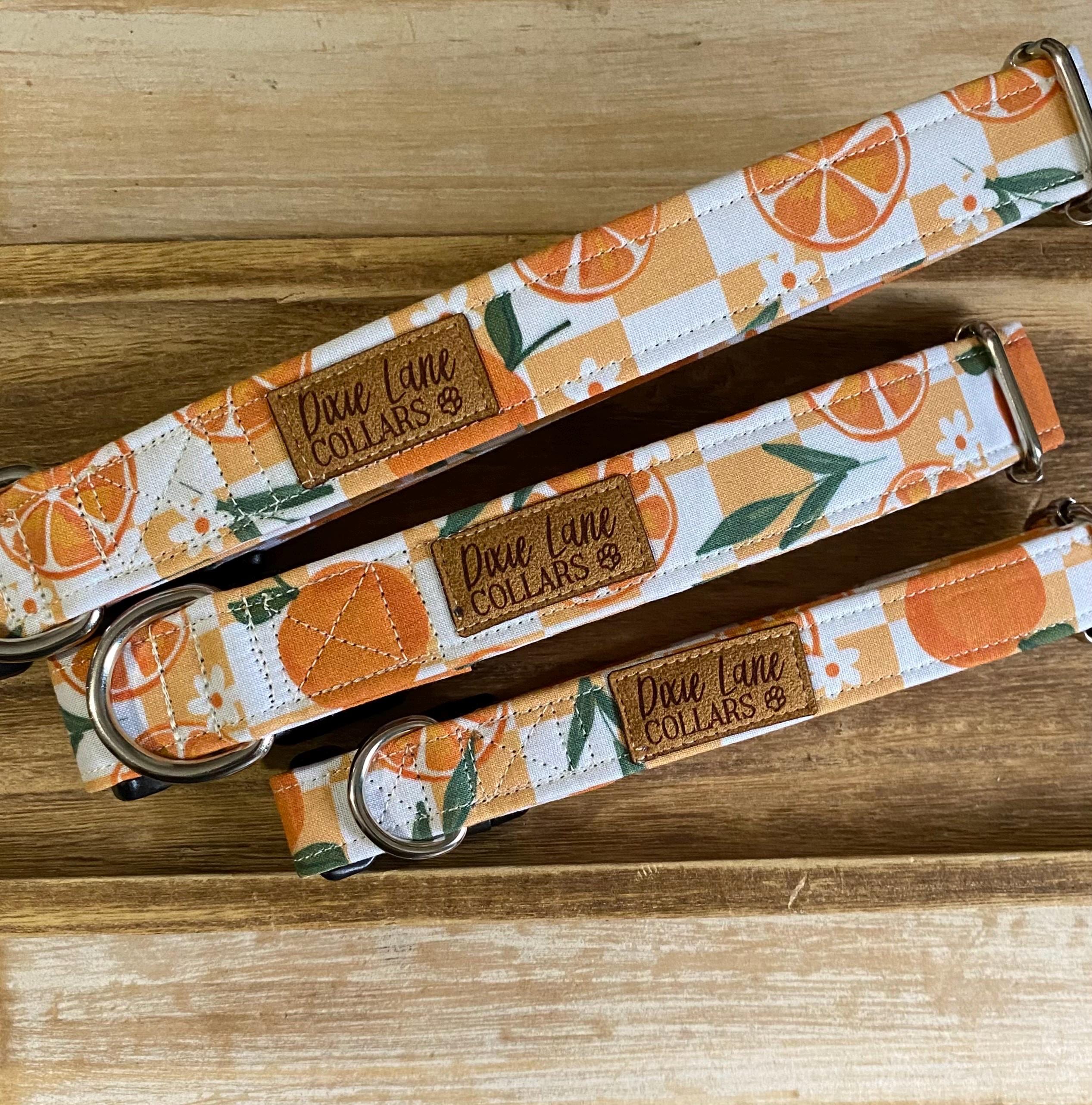 Oranges Checkered Dog Collar