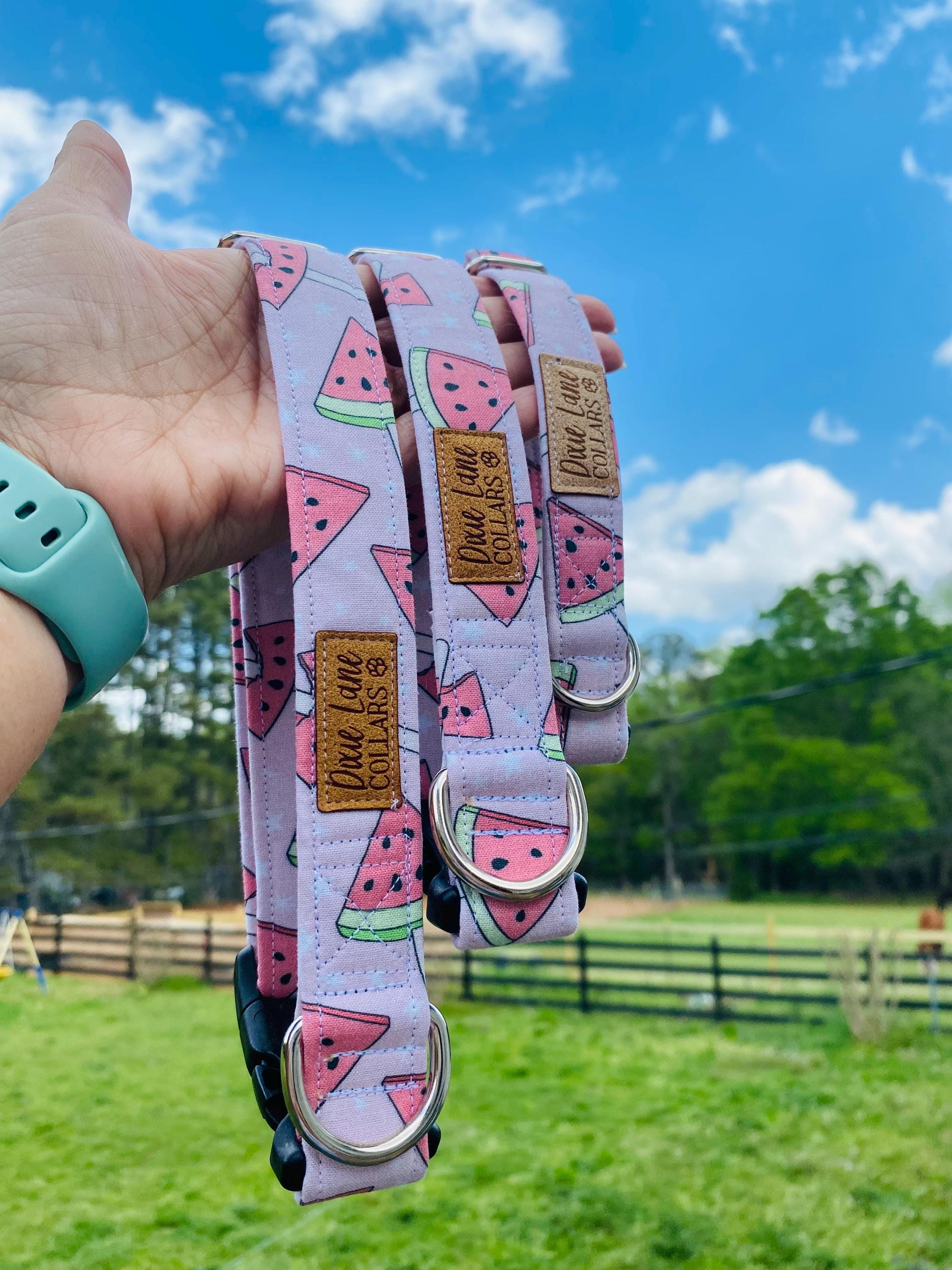 Pink Watermelon Popsicle Dog Collar