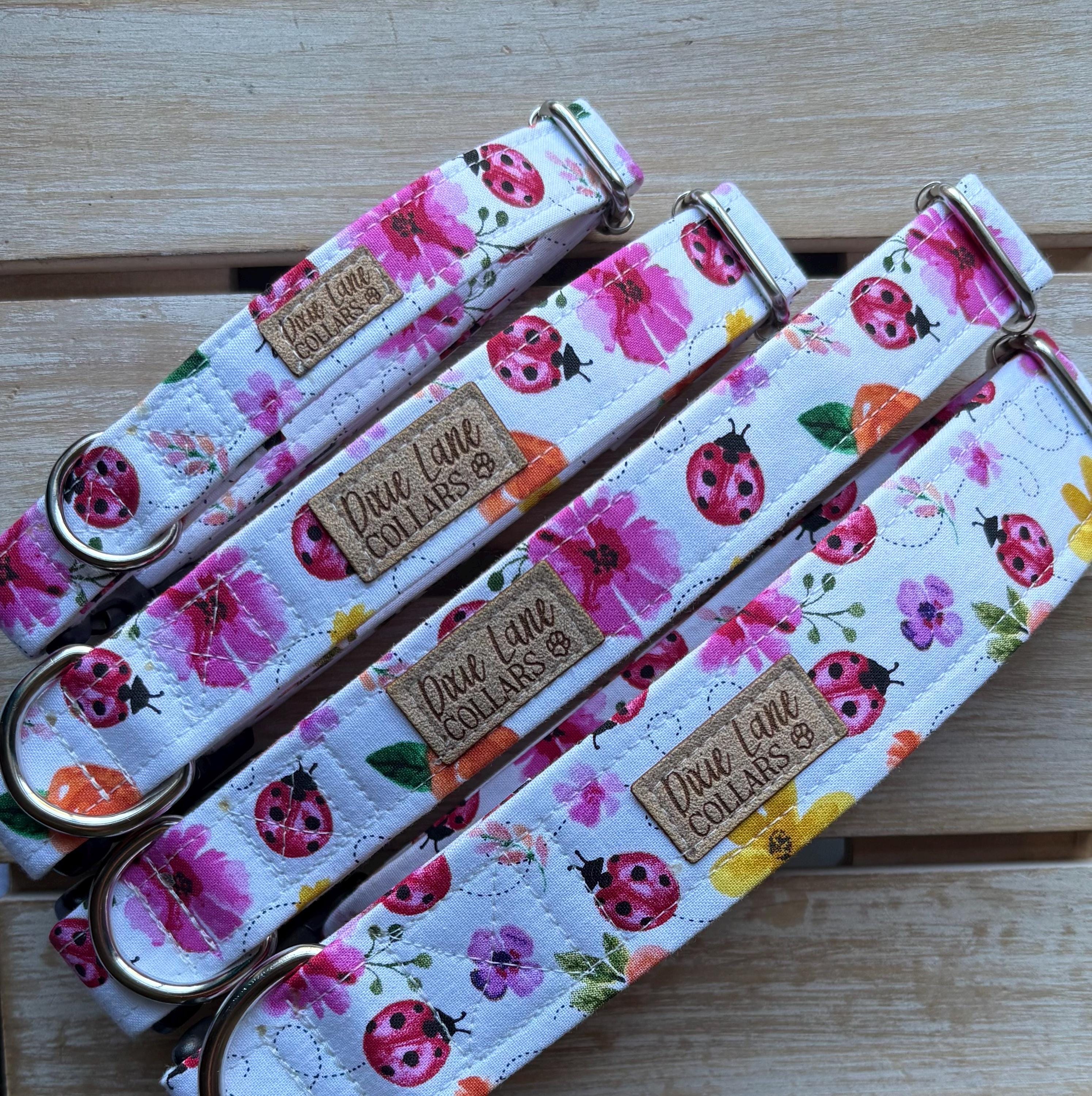 Lady Bug Floral Dog Collar