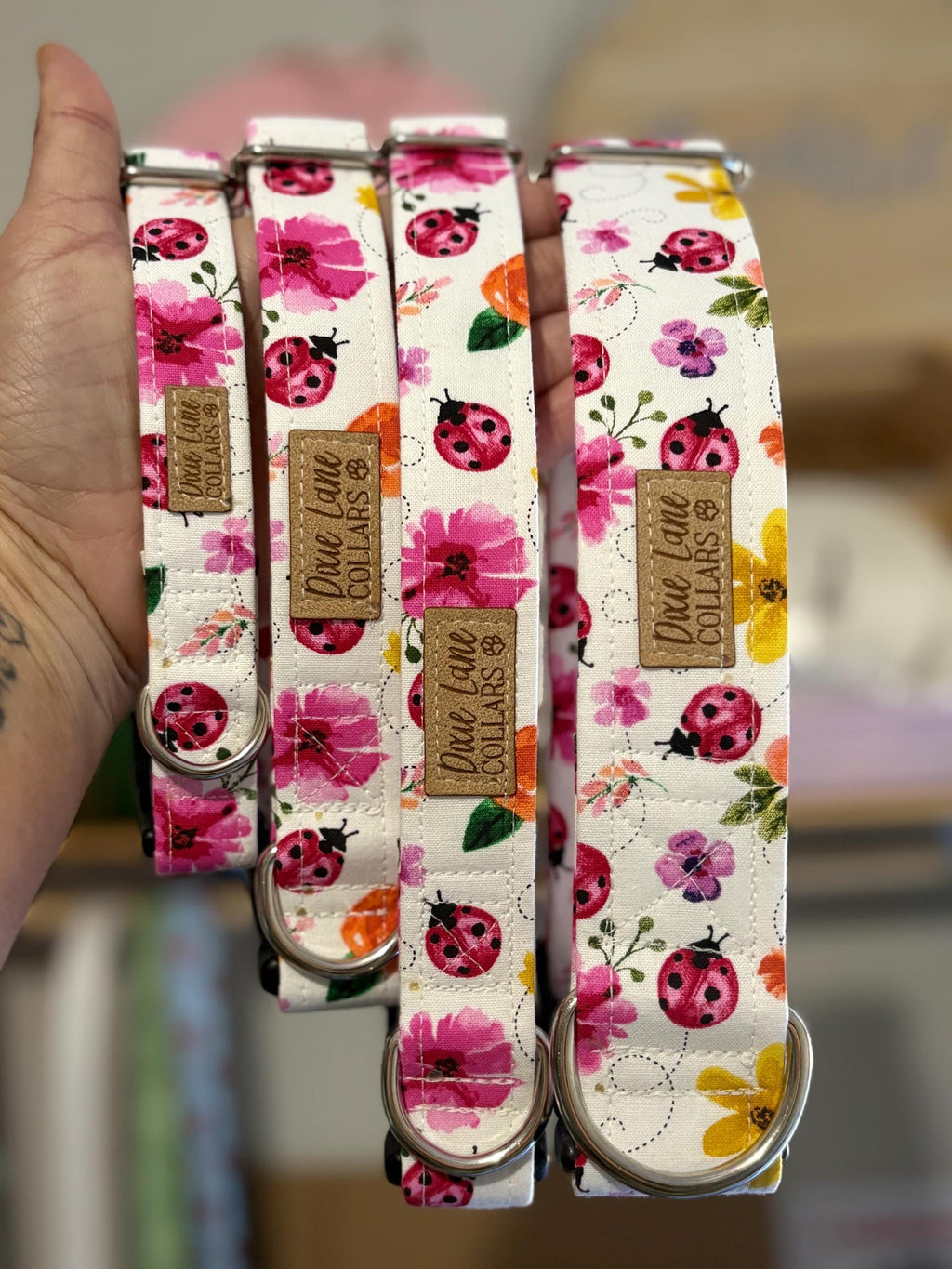 Lady Bug Floral Dog Collar