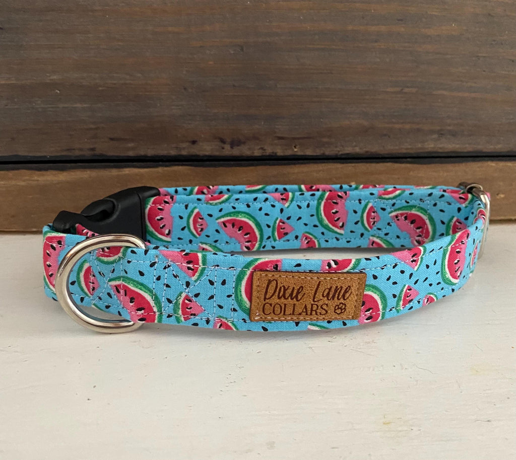 Teal  Watermelons Dog Collar