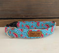 Teal  Watermelons Dog Collar