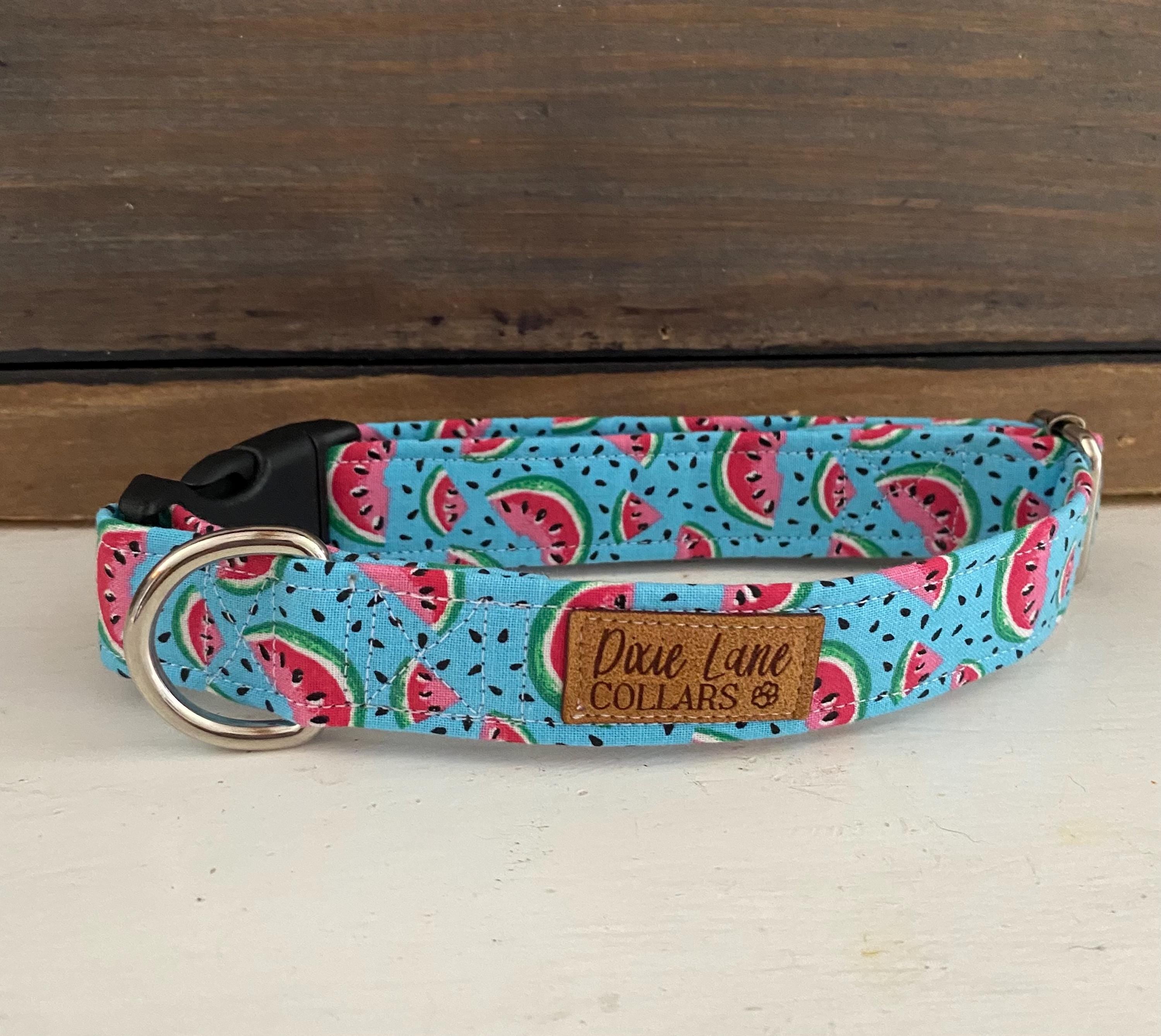 Teal  Watermelons Dog Collar