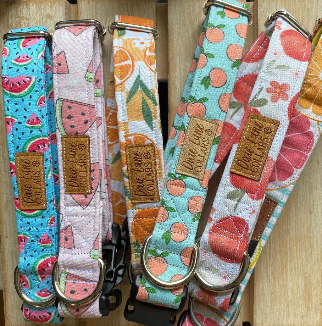Peaches on Teal Dog Collar