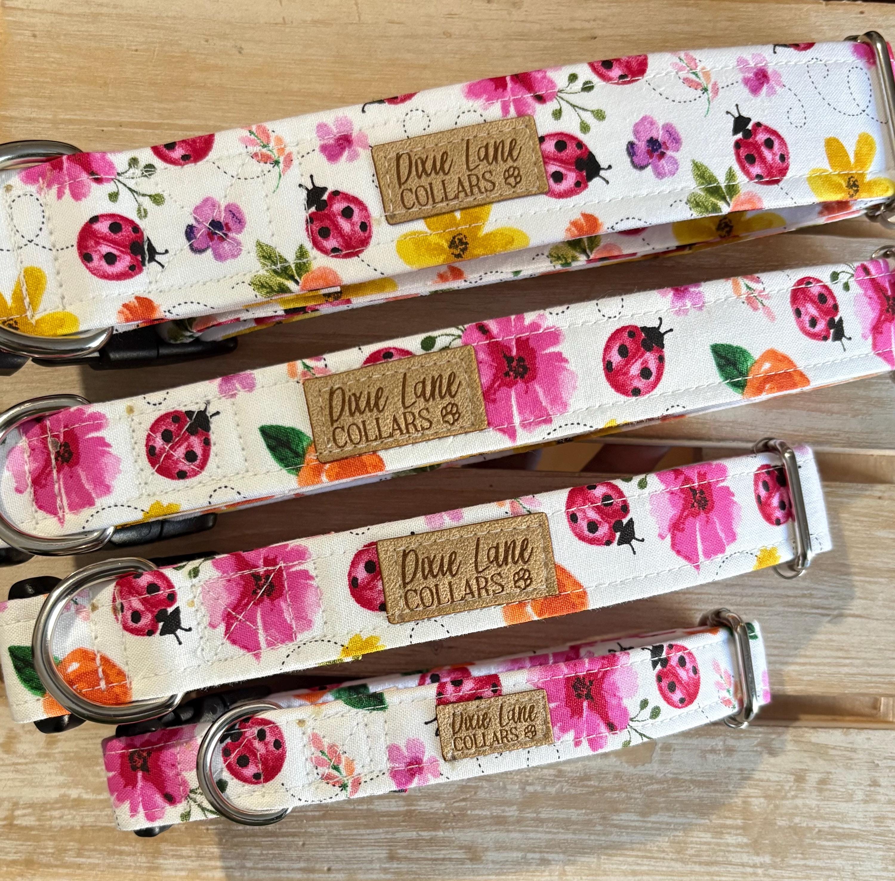 Lady Bug Floral Dog Collar