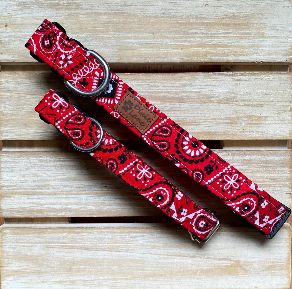 Red Bandana Western Dog Collar