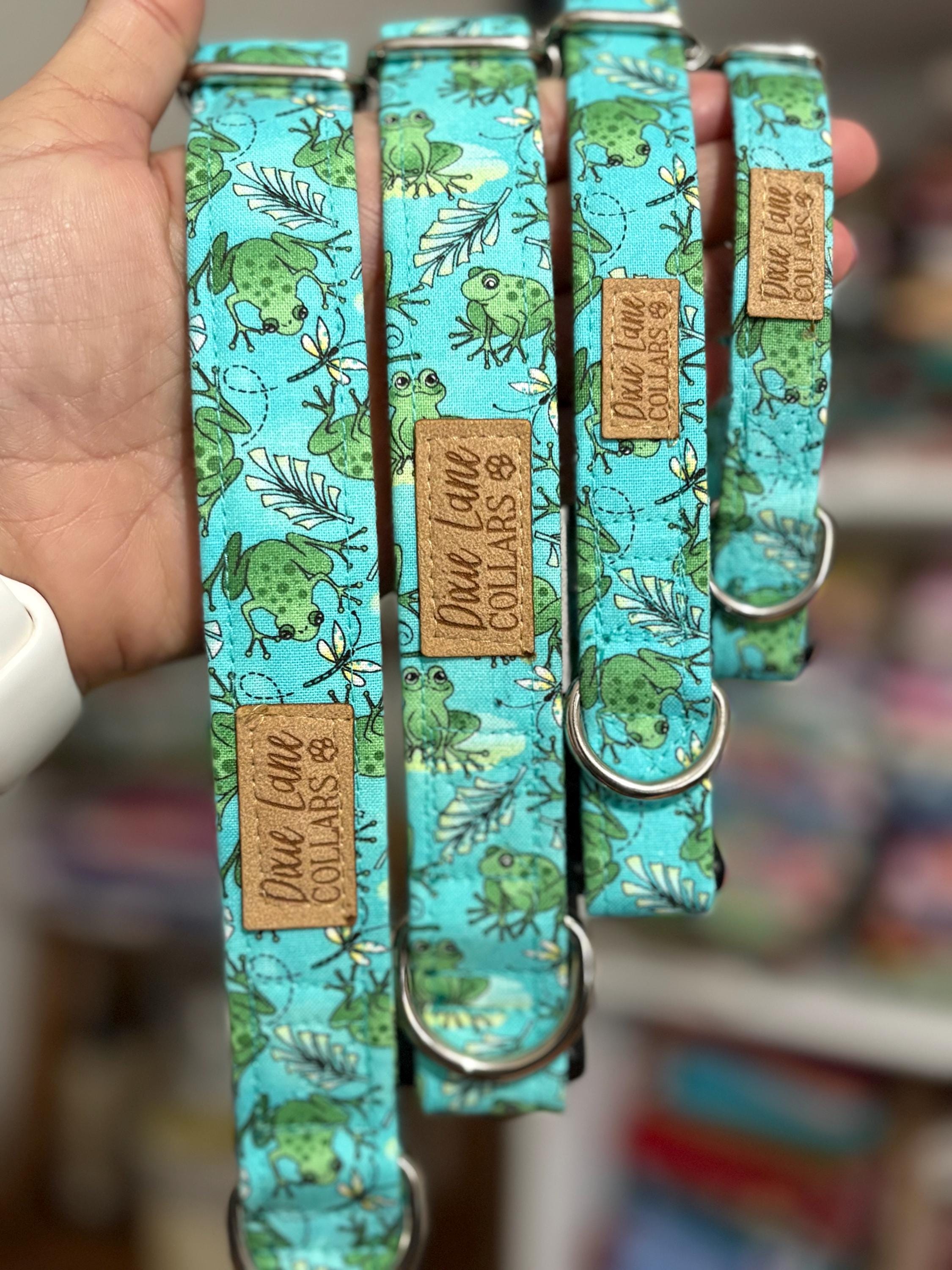 Feeling Froggy Dog Collar