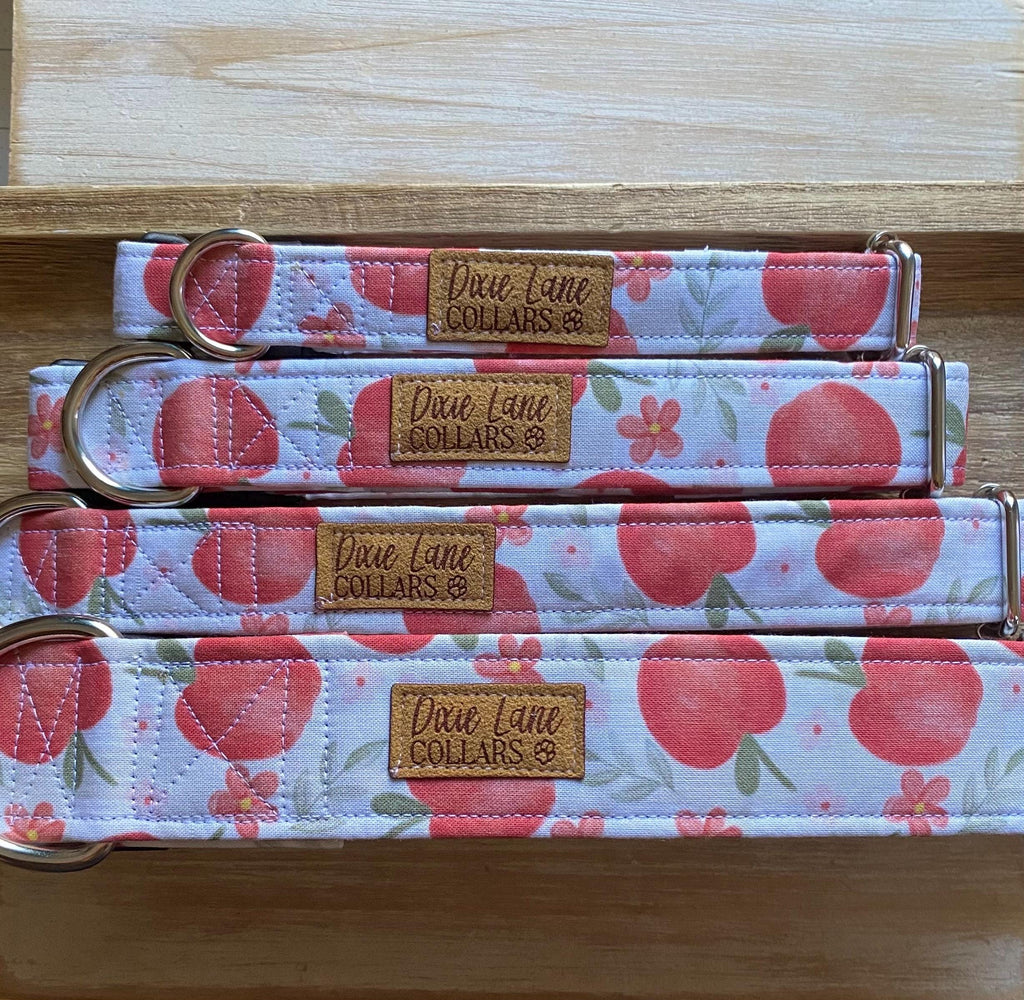 Apple Floral Dog Collar