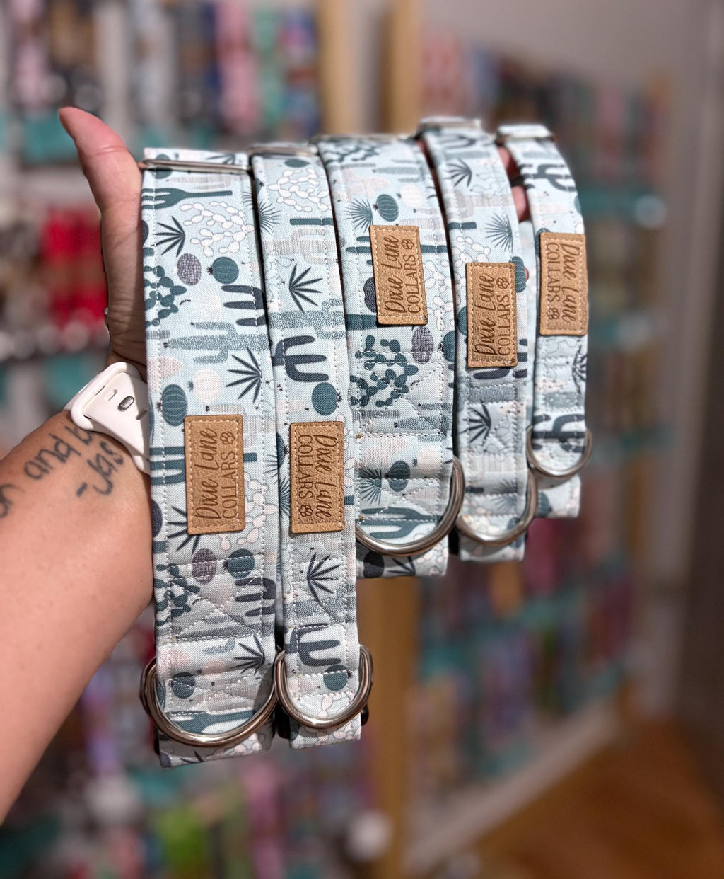 Desert Cactus Dog Collar