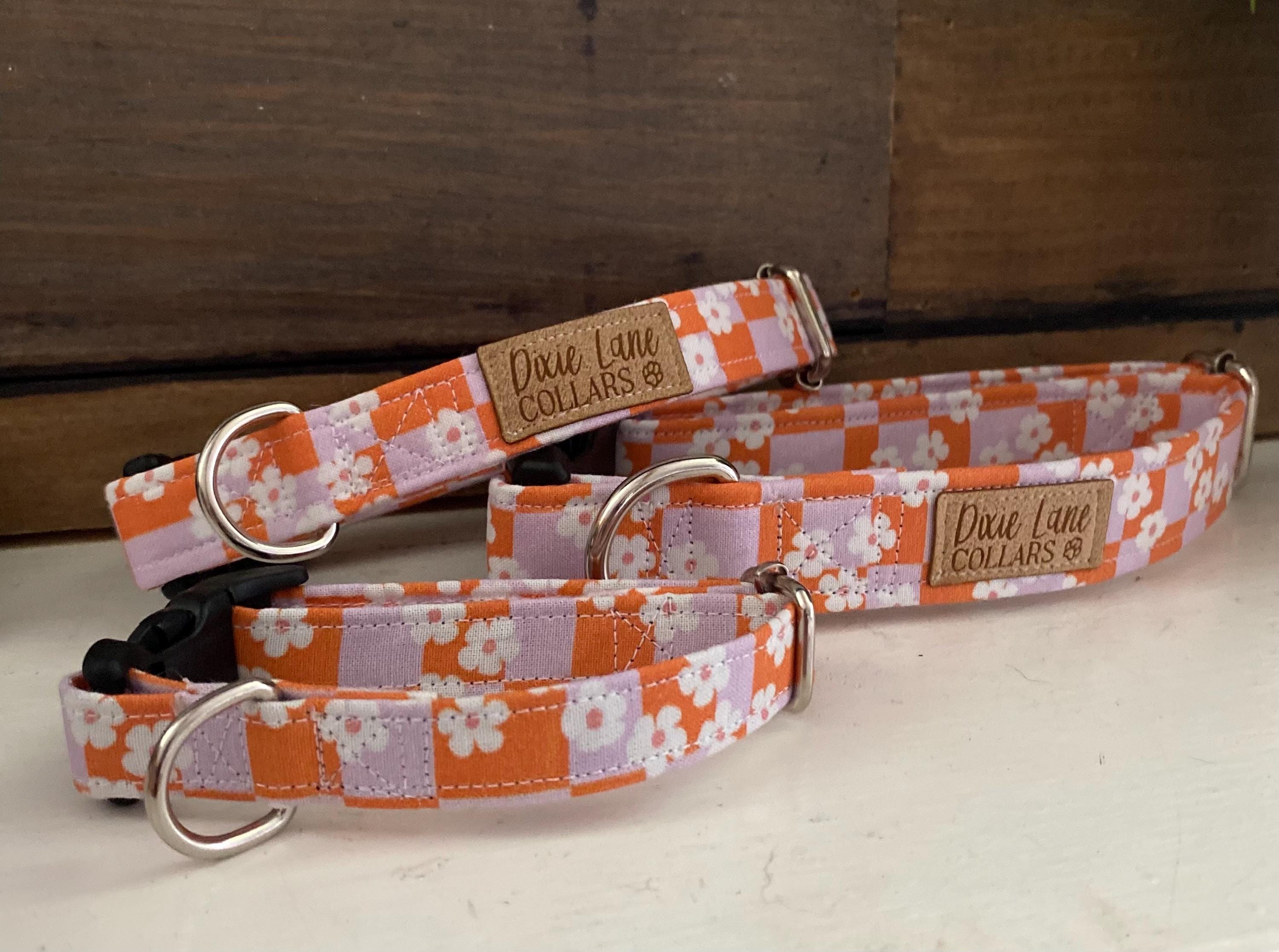 Checkered Daisies Dog Collar