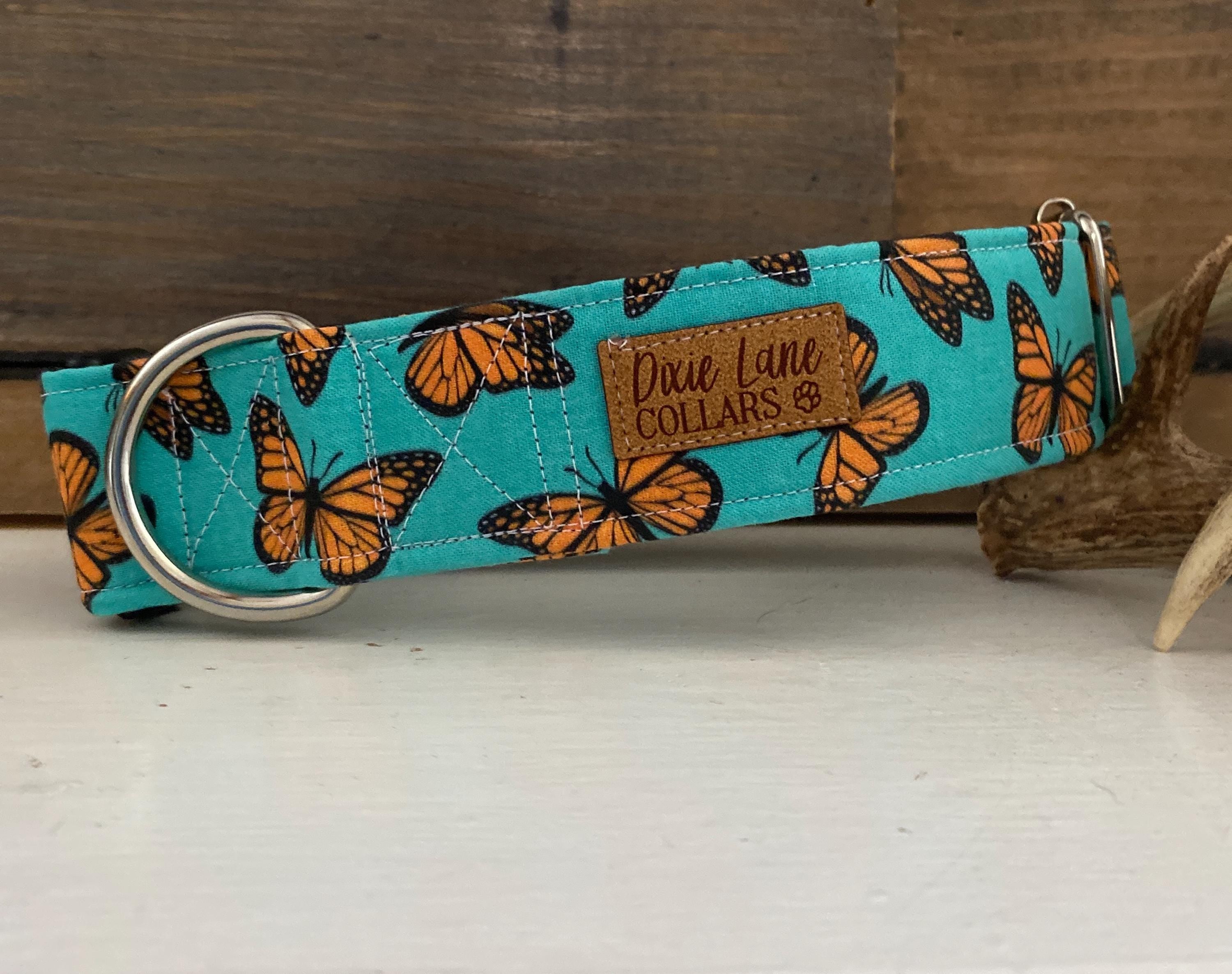 Teal and Orange Butterflies Dog Collar