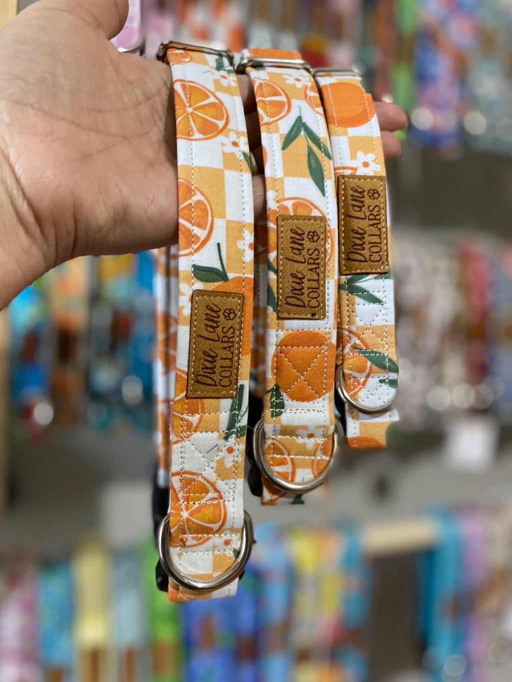 Oranges Checkered Dog Collar