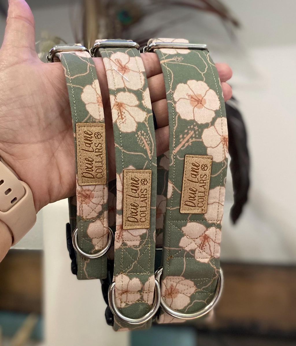 Green Hibiscus Floral Dog Collar