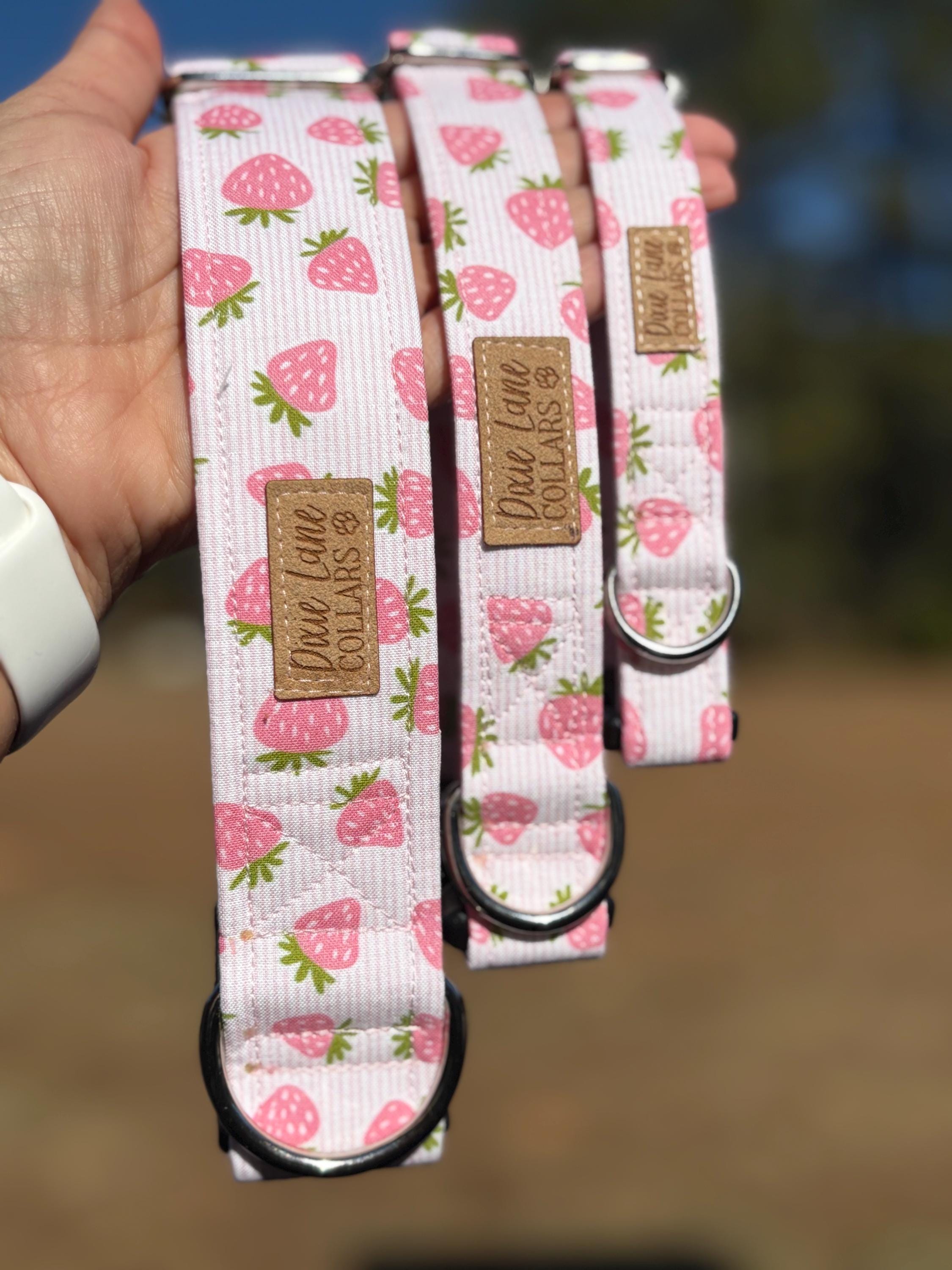 Pink Strawberry Toss Dog Collar