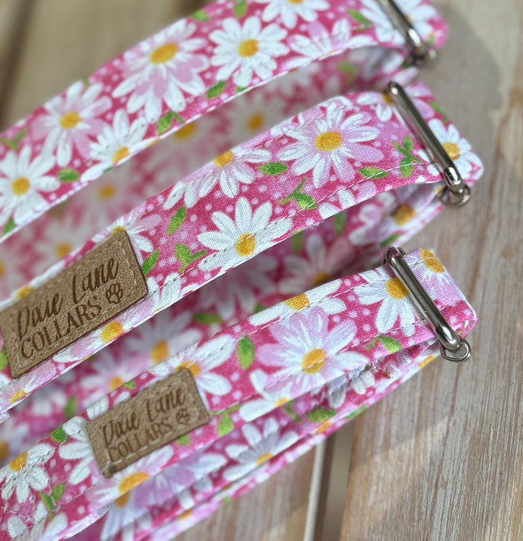 Pink Daisies Dog Collar