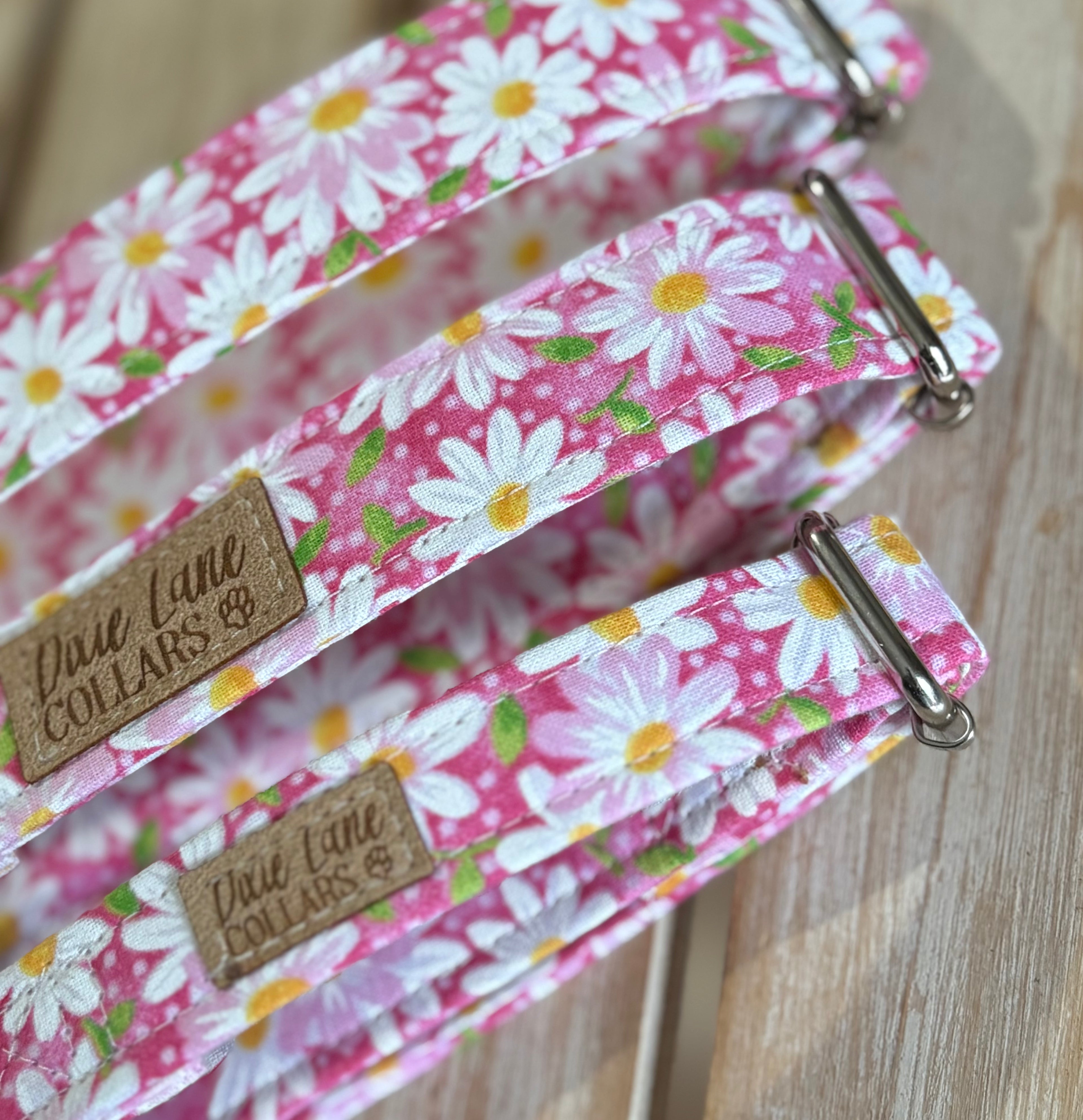 Pink Daisies Dog Collar