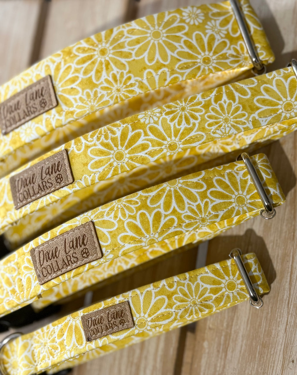 Yellow Daisies Dog Collar