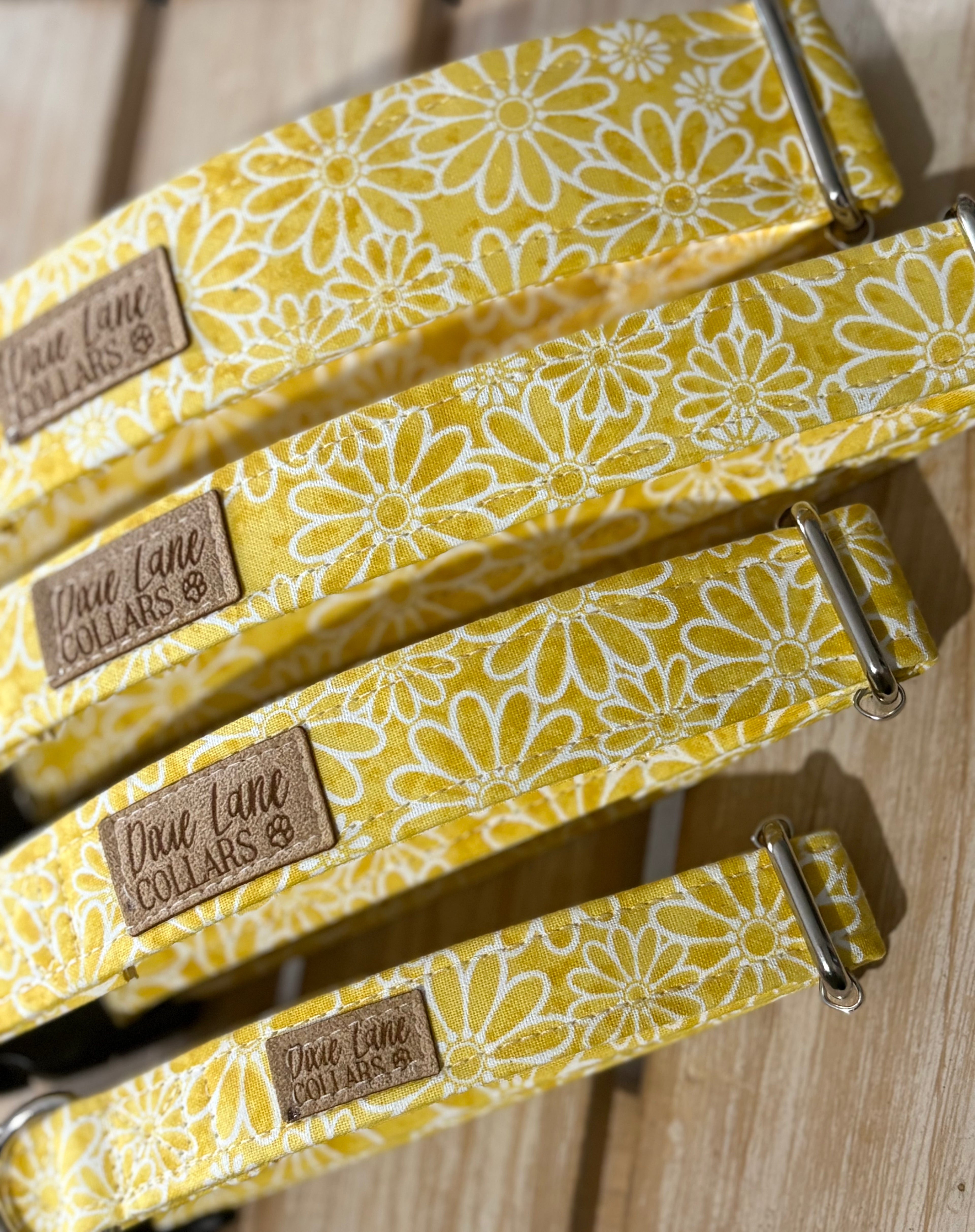 Yellow Daisies Dog Collar
