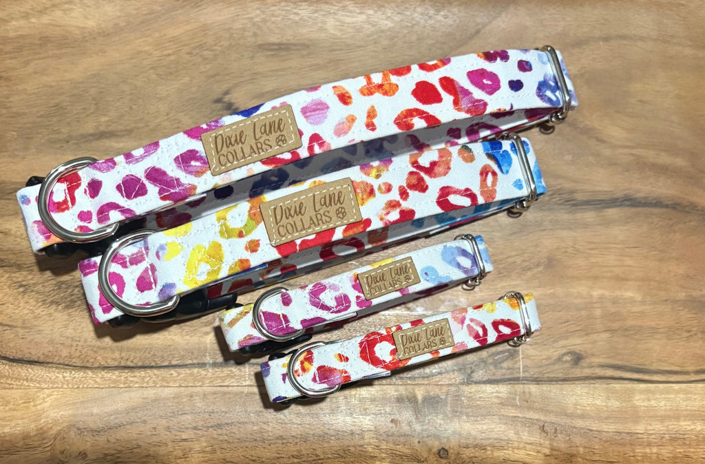 Rainbow Leopard Print Dog Collar