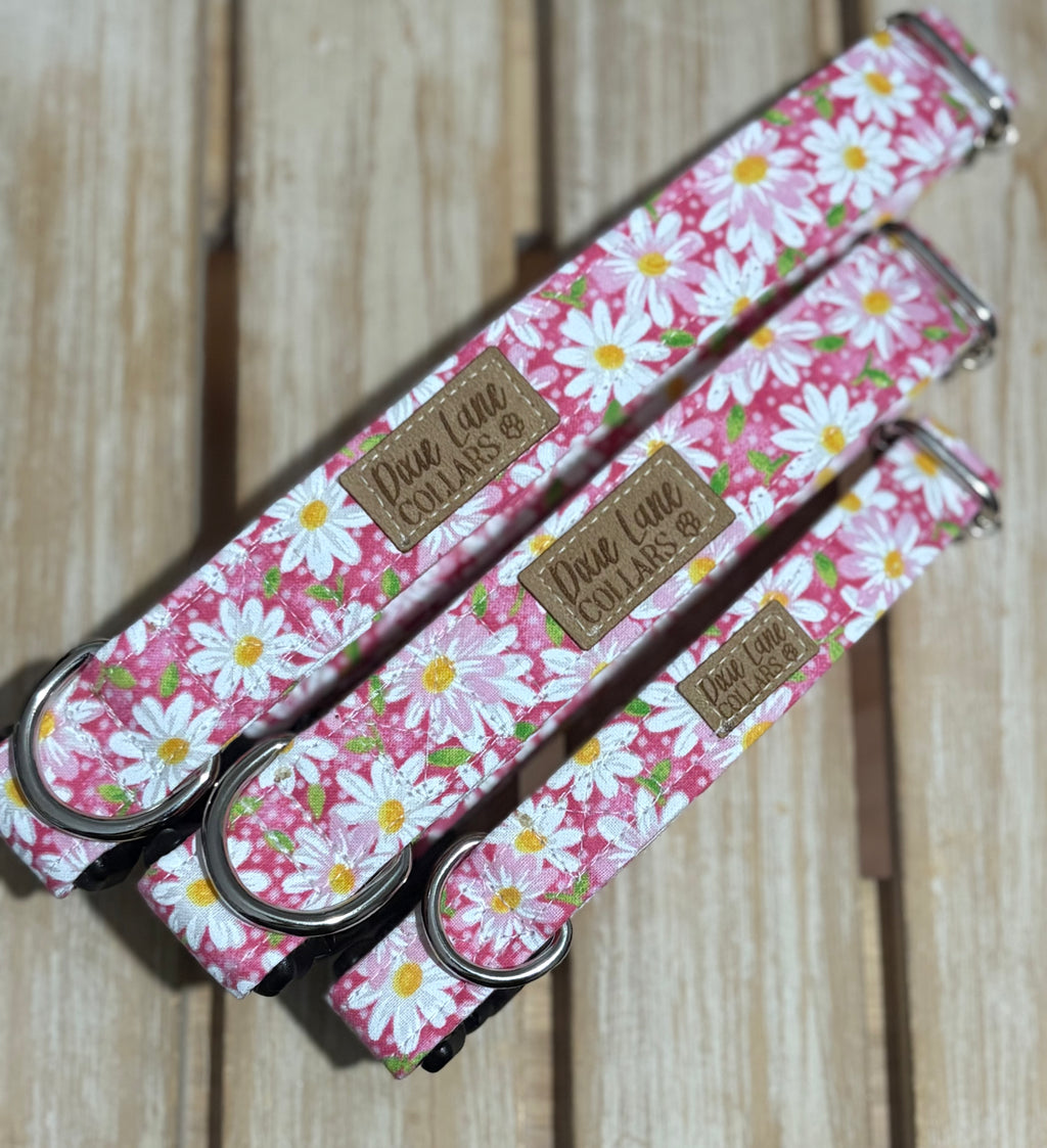 Pink Daisies Dog Collar
