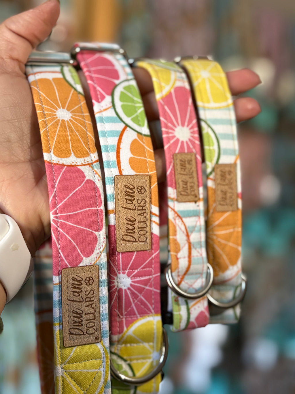 Citrus Striped Dog Collar