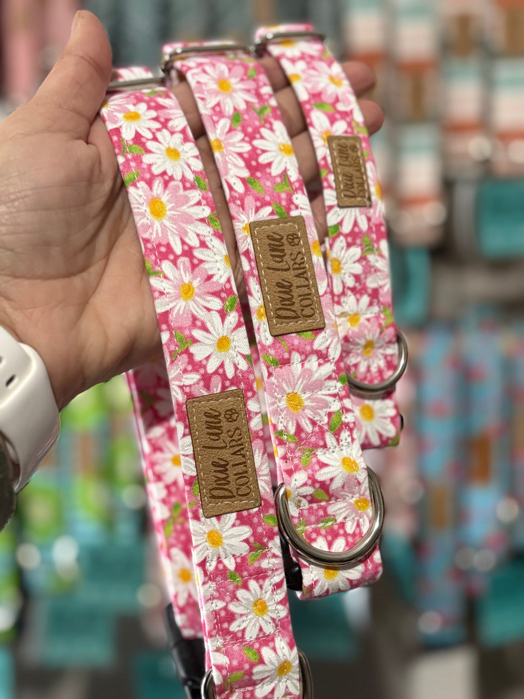 Pink Daisies Dog Collar