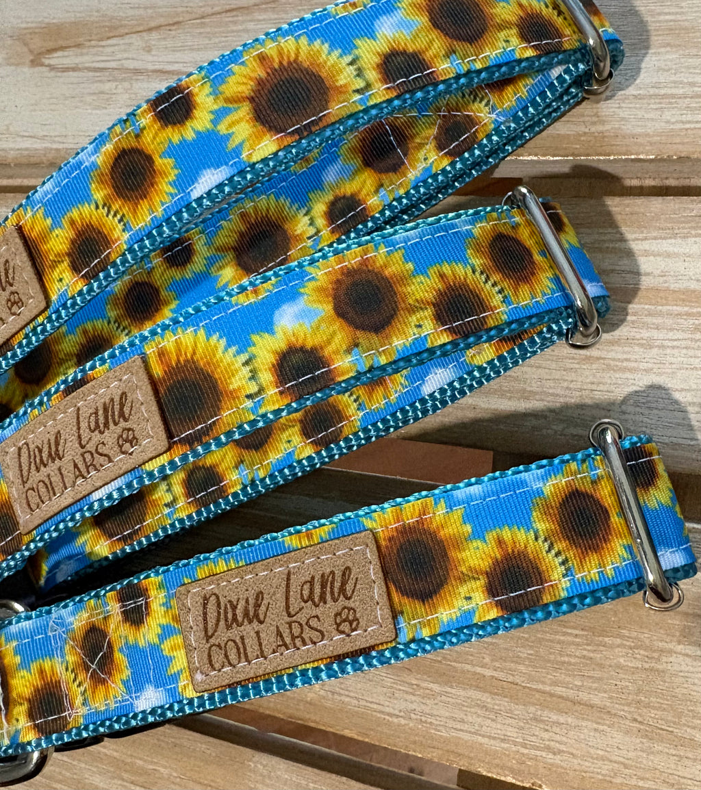 Sunflower Skies Dog Collar