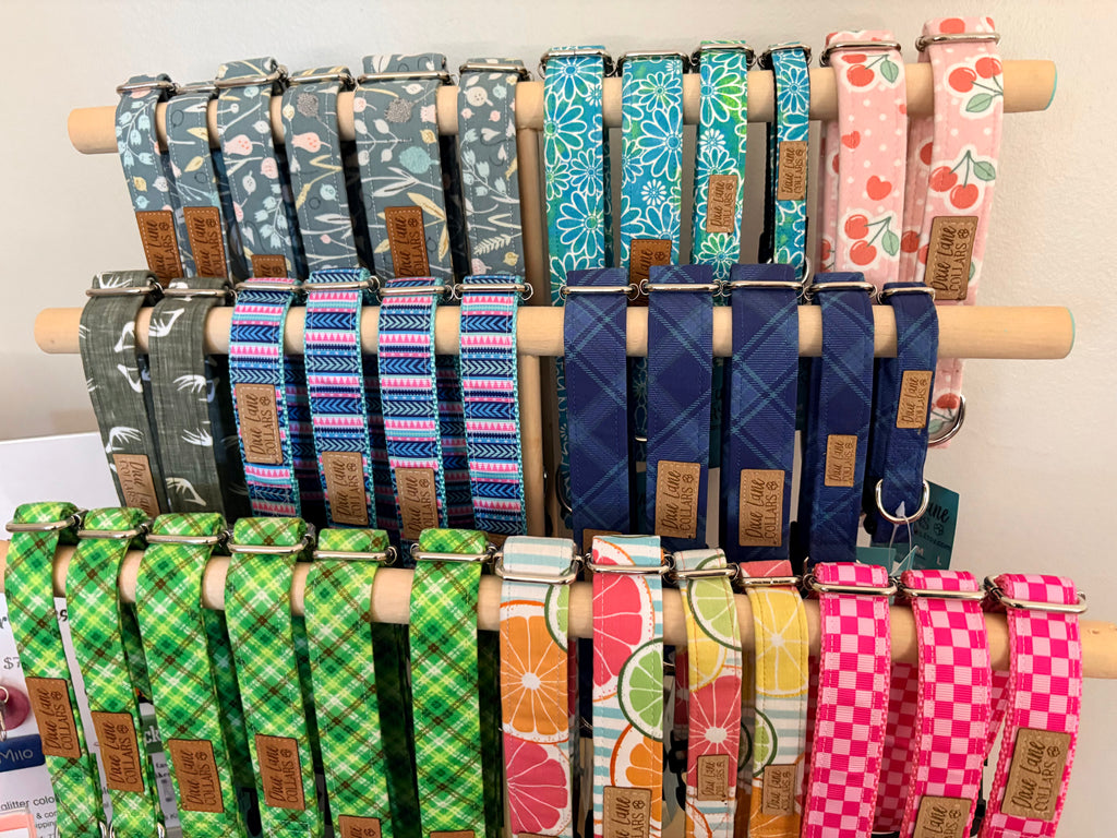 Citrus Striped Dog Collar