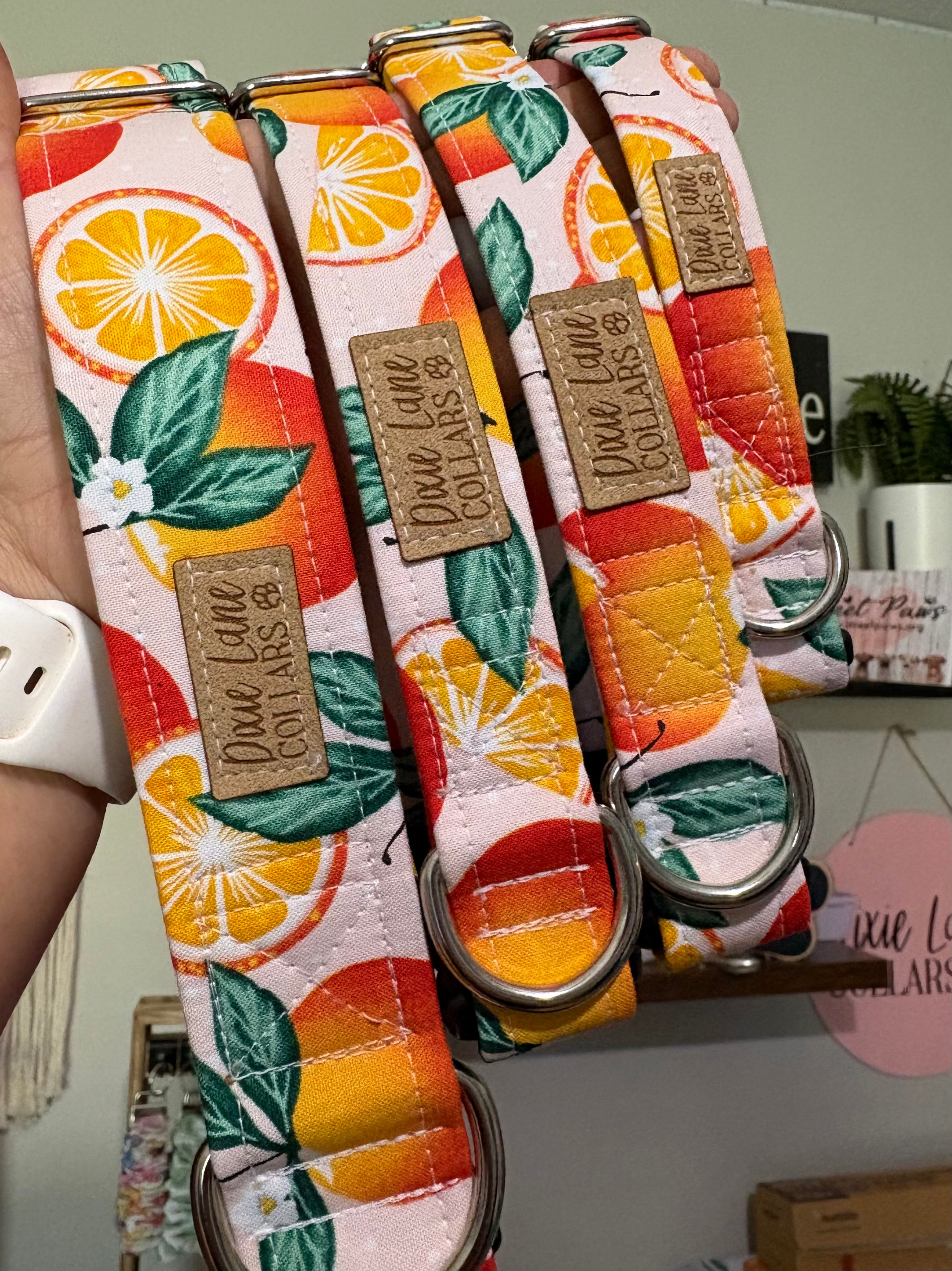 Summer Oranges Dog Collar