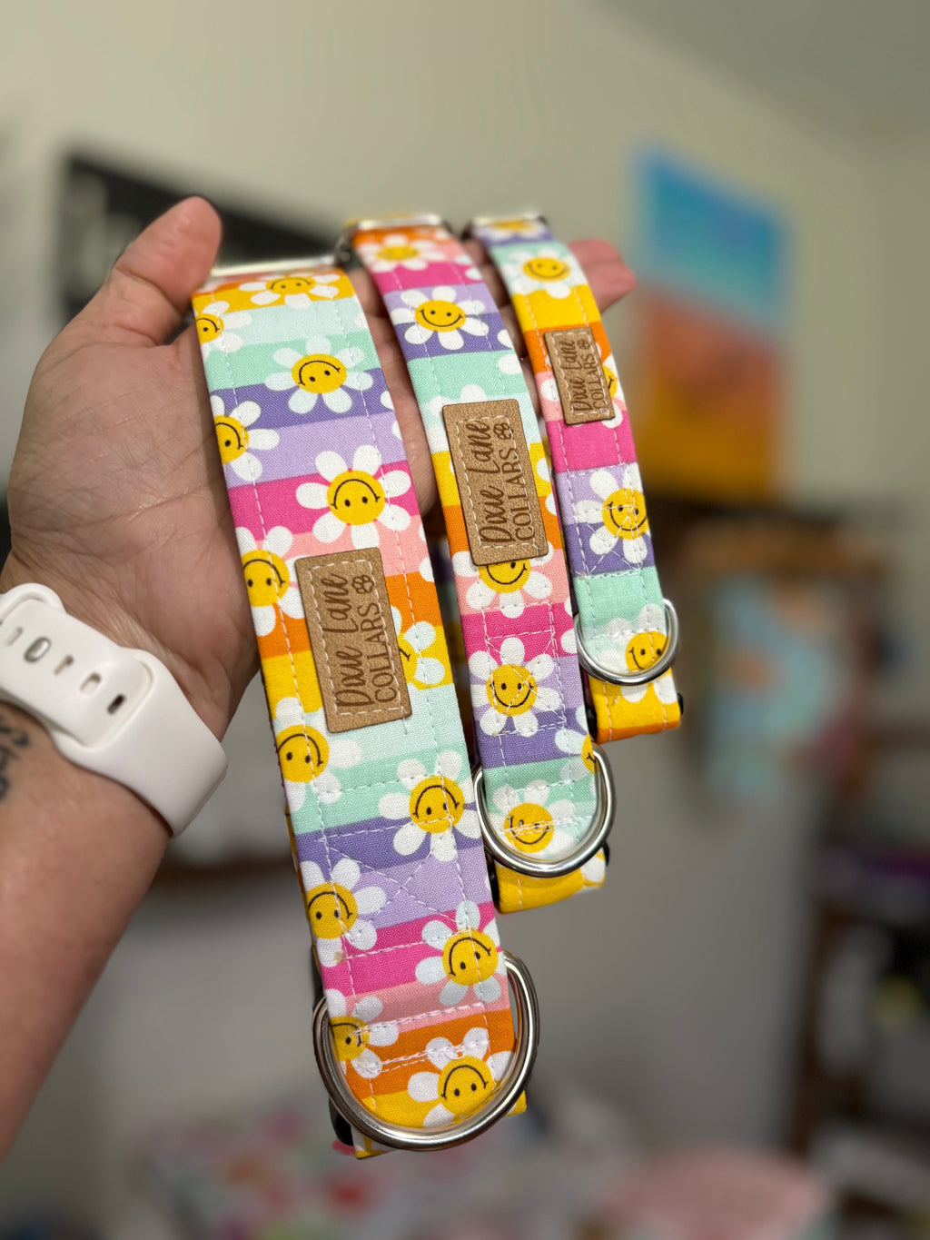 Groovy Summer Daisies Dog Collar