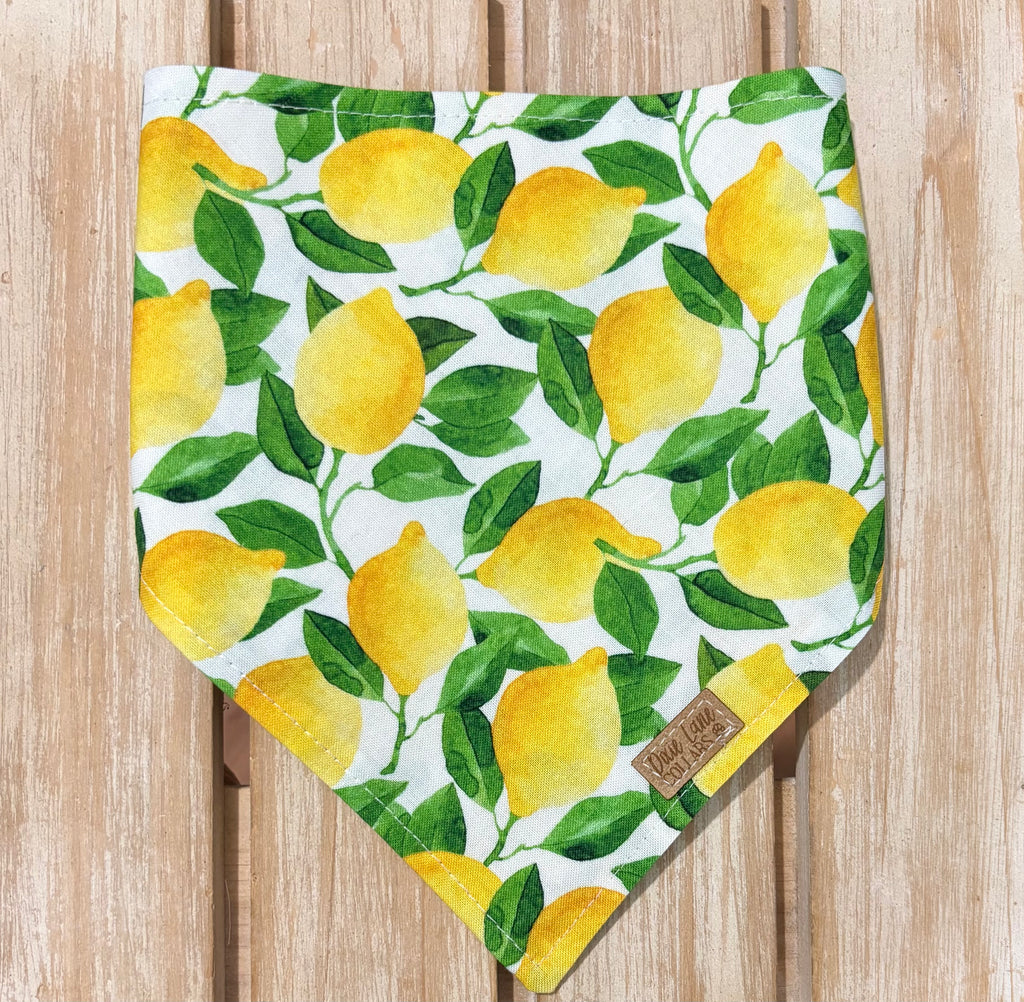 Lemons Dog Bandana