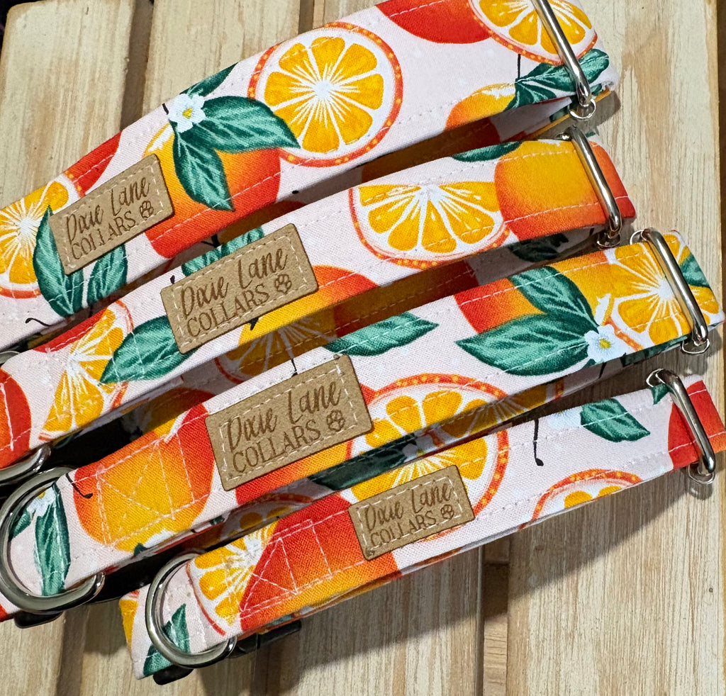 Summer Oranges Dog Collar