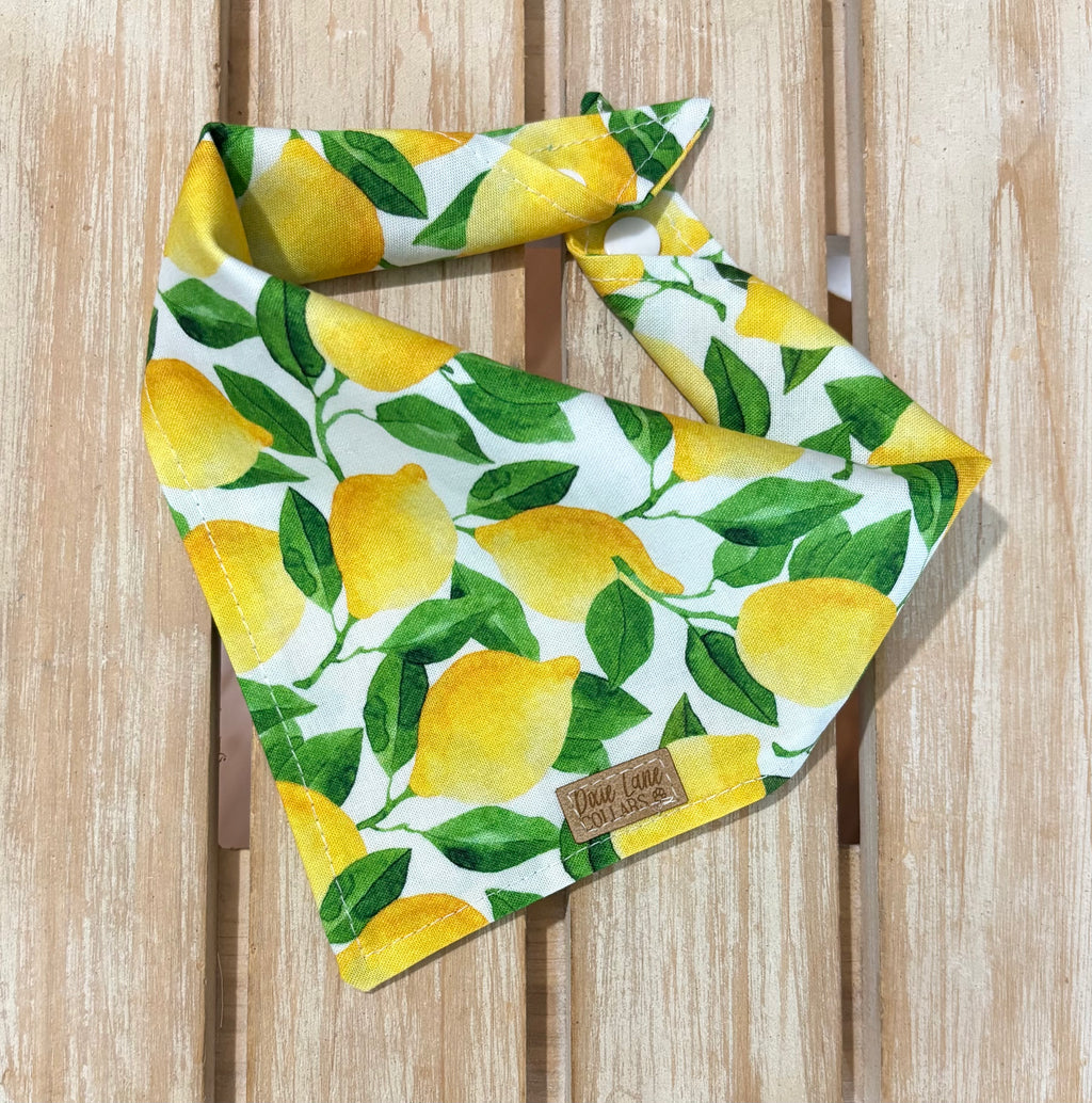 Lemons Dog Bandana