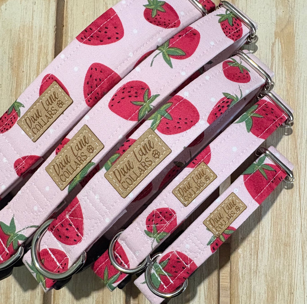 Pink Summer Strawberries Dog Collar