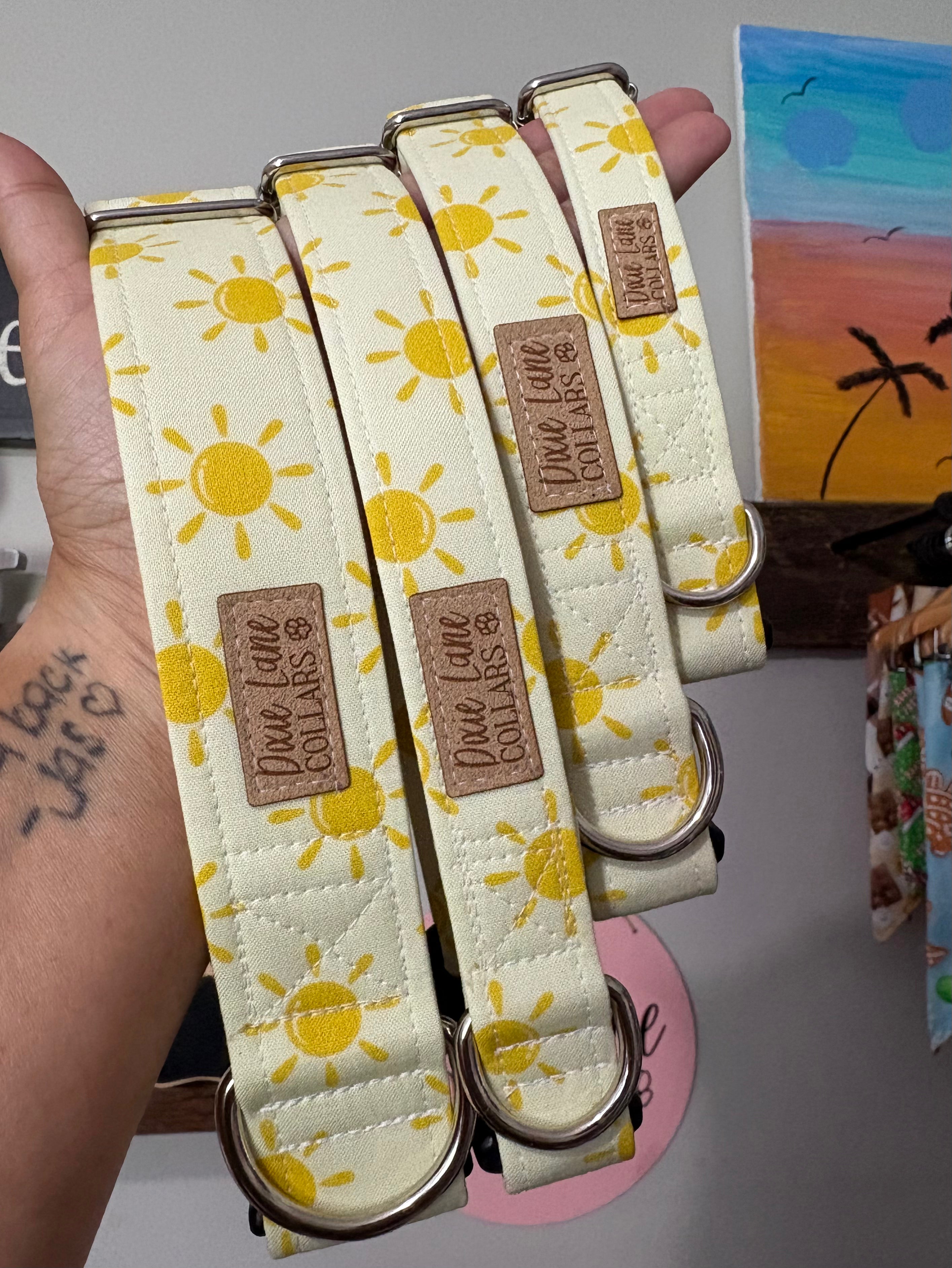 Yellow Sunshine Dog Collar